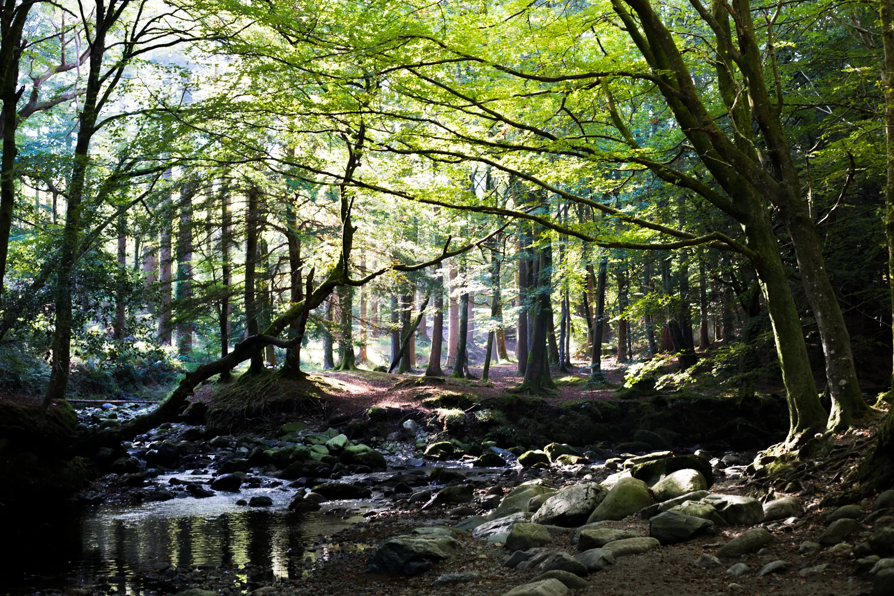 Ireland_SM-0847.jpg