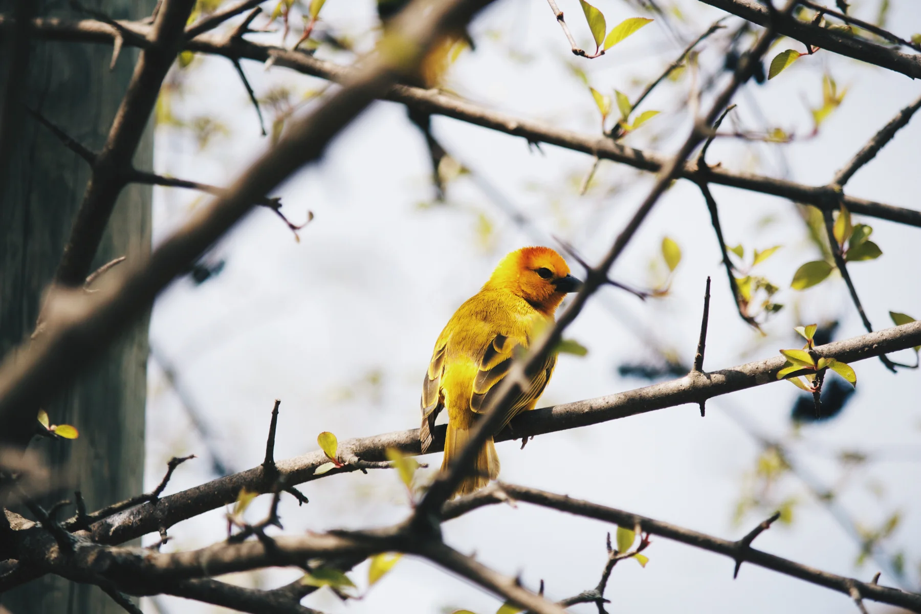 Zoo_SM-1-3.jpg