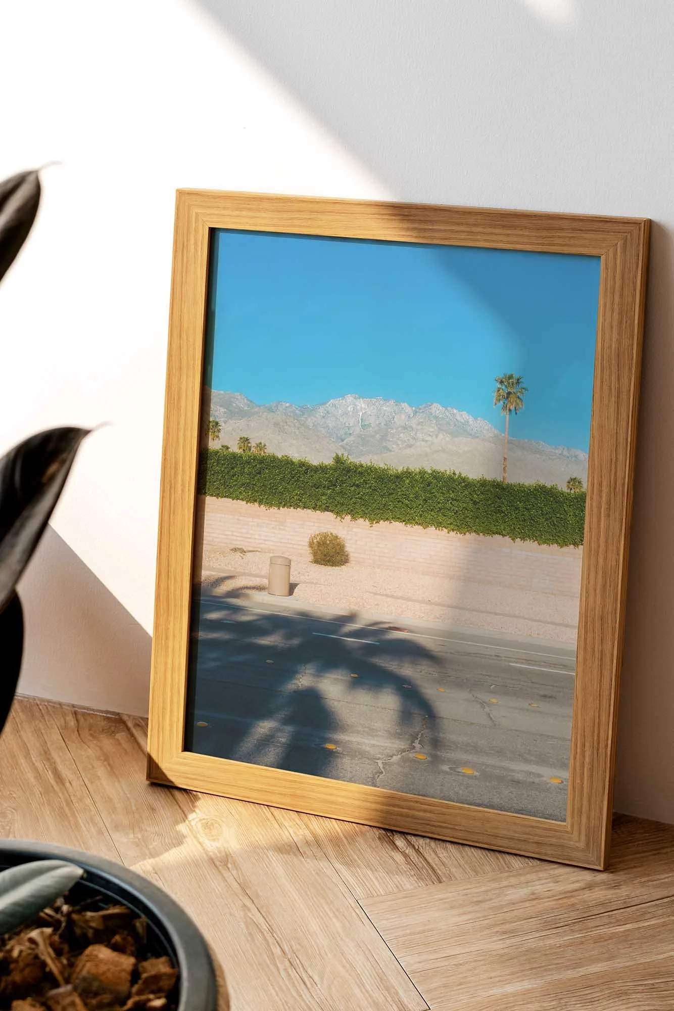 _DSF0552-Enhanced_web - Floor_Small_Mockup_webS.jpg