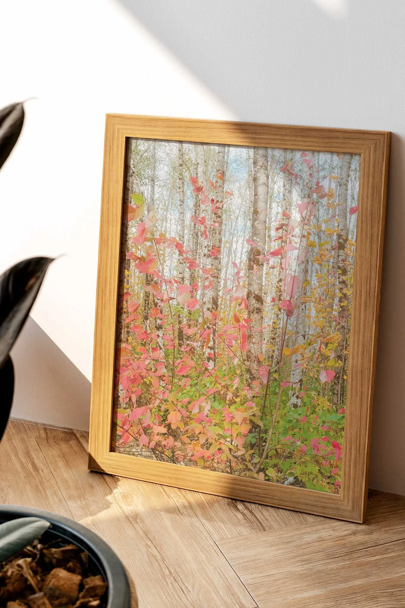 _DSF9737-Enhanced_web - Floor_Small_Mockup_webS.jpg