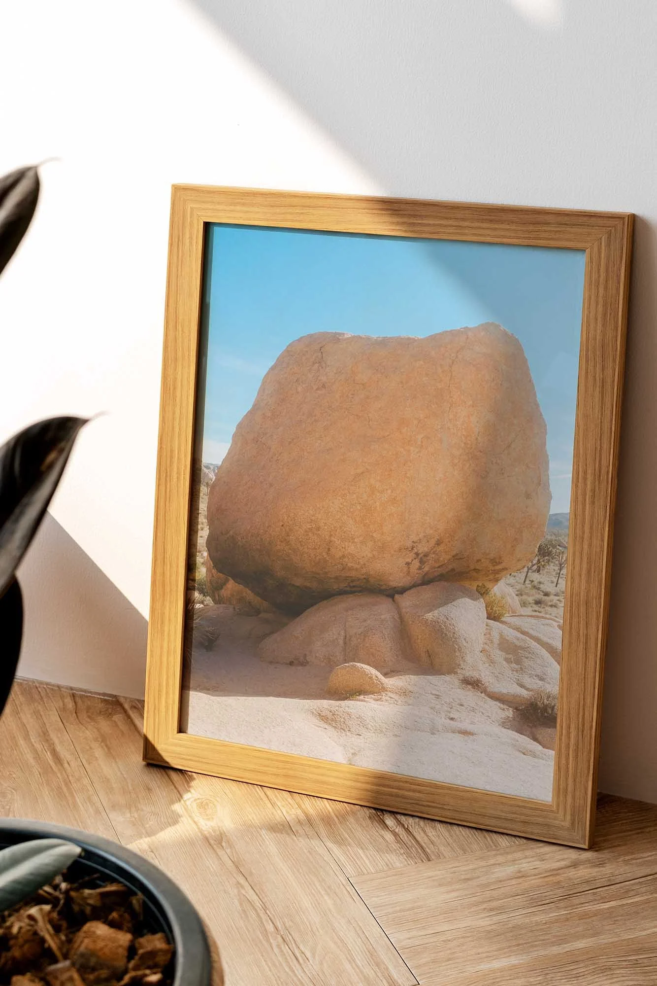 _DSF8112-Enhanced_web - Floor_Small_Mockup_webS.jpg