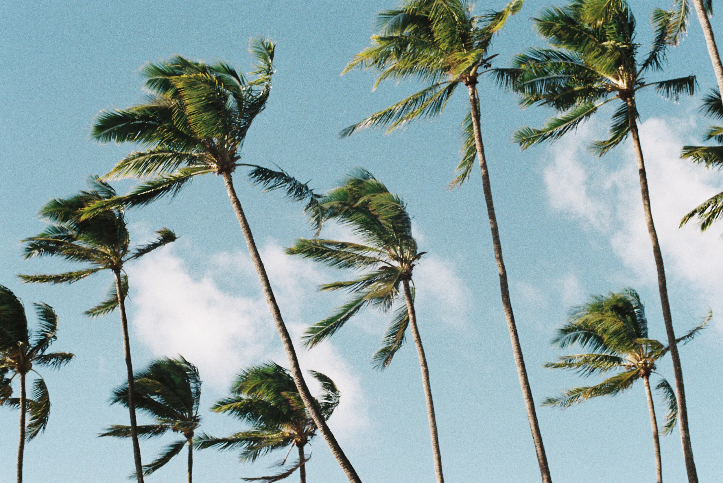 Robin-Waters-maui.jpg