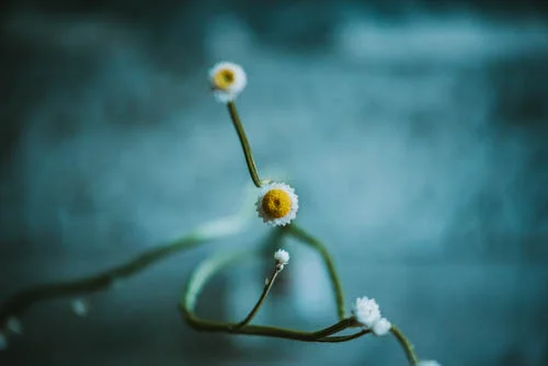 She began to notice beauty everywhere