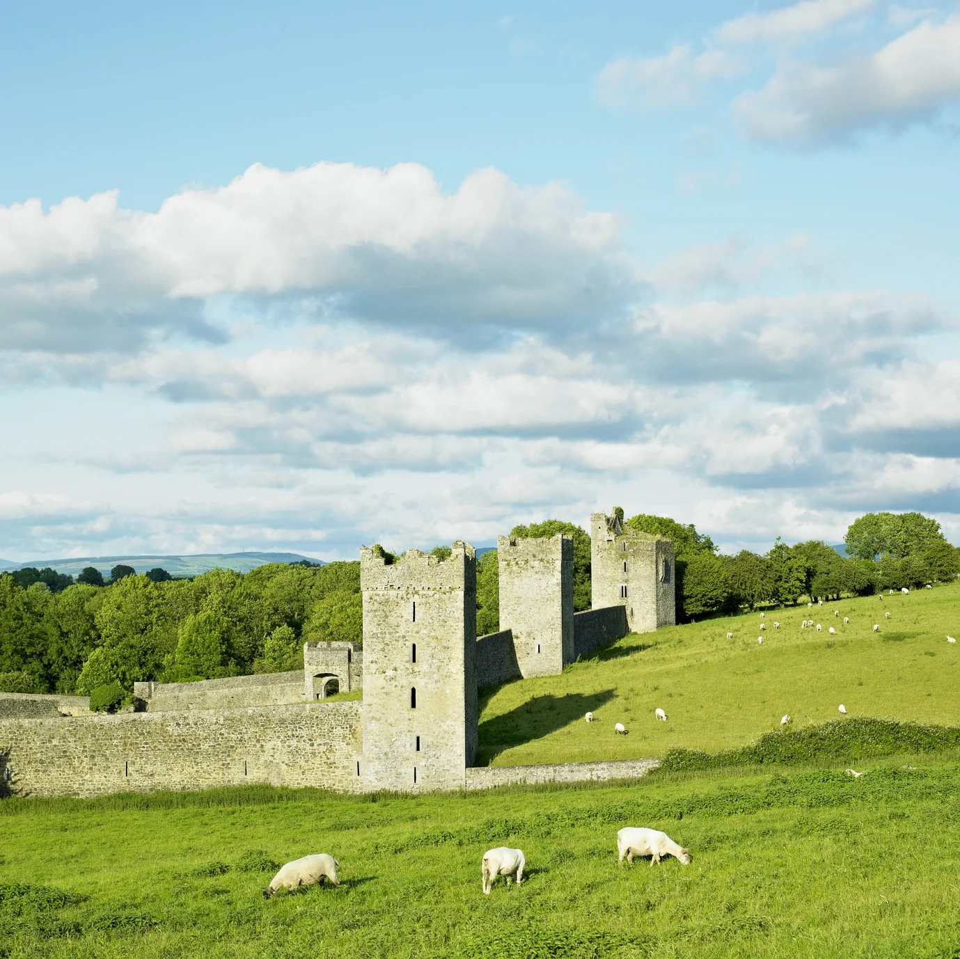 Kell’s Priory, County Kilkenny