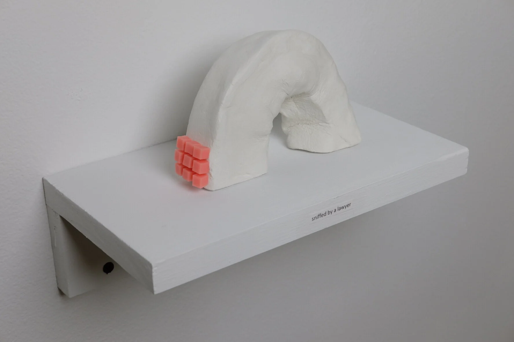 sniffed by a lawyer.JPG