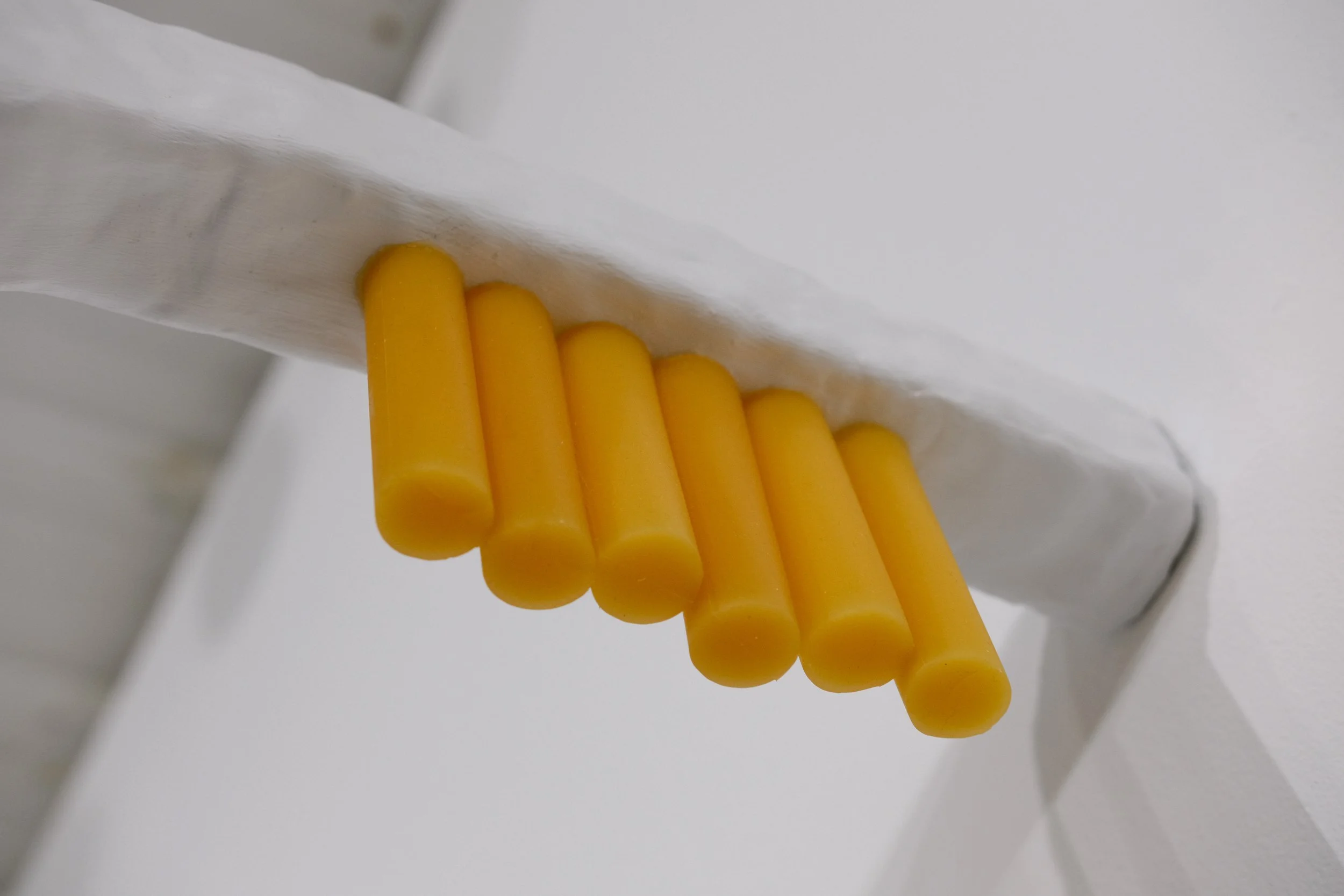 SV Image 2 (alone in the elevator 2).JPG