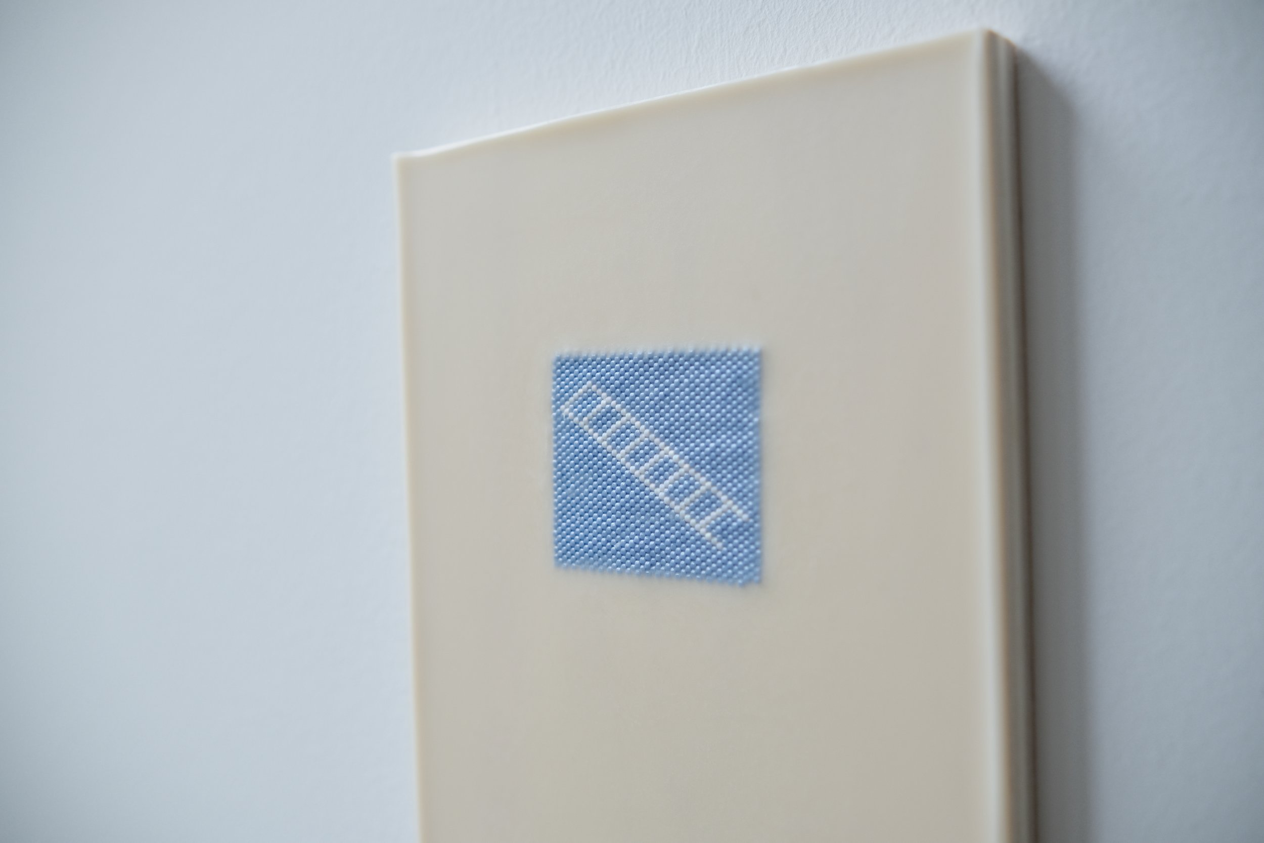 I'm standing on the unsafe rung (detail)JPG.JPG