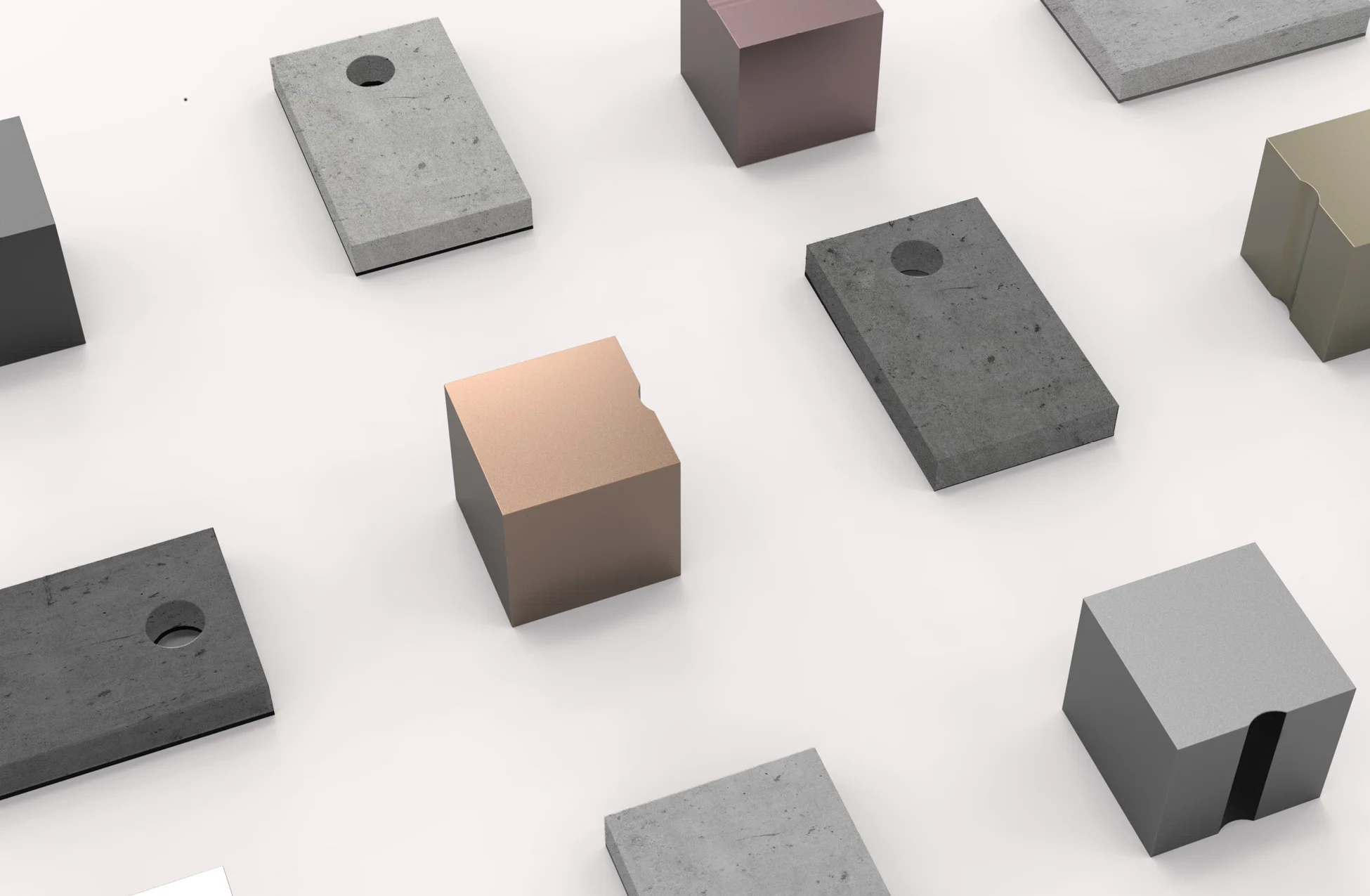 Vela comes in many colors, seamlessly blending into its environment.
