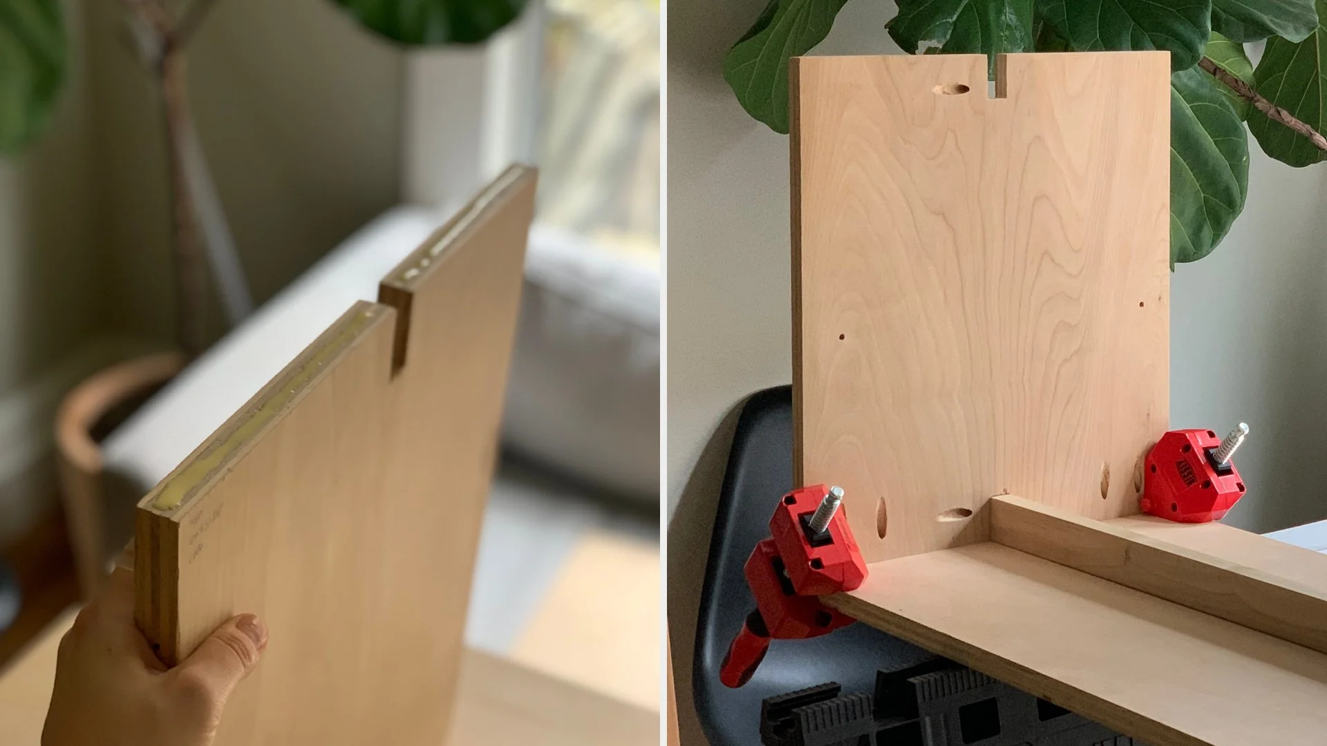 show rack comps presentation -01.jpg