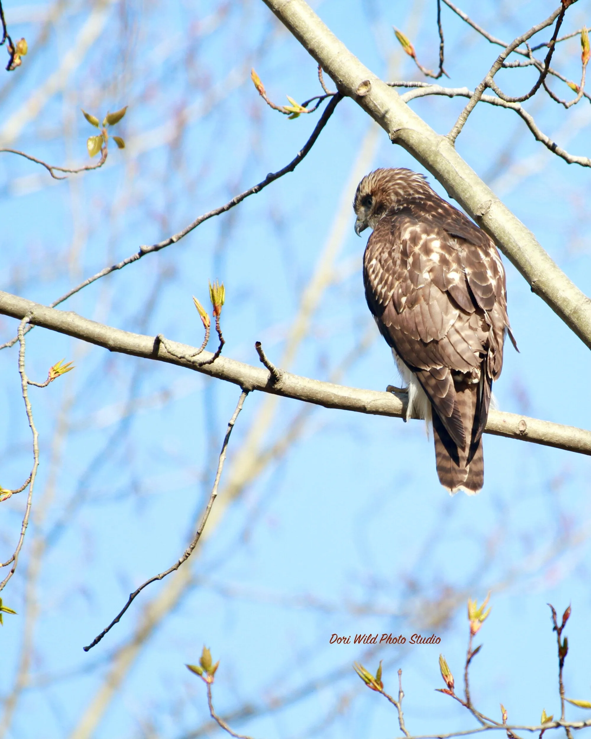 27127720-DB37-4B7F-B8A2-5D619B7D311F