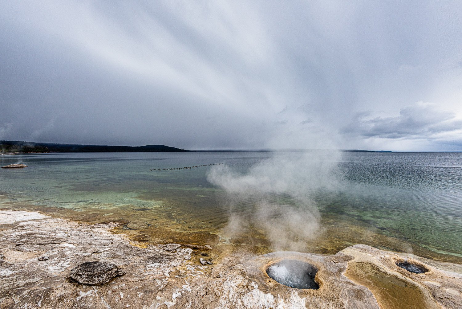 Yellowstone