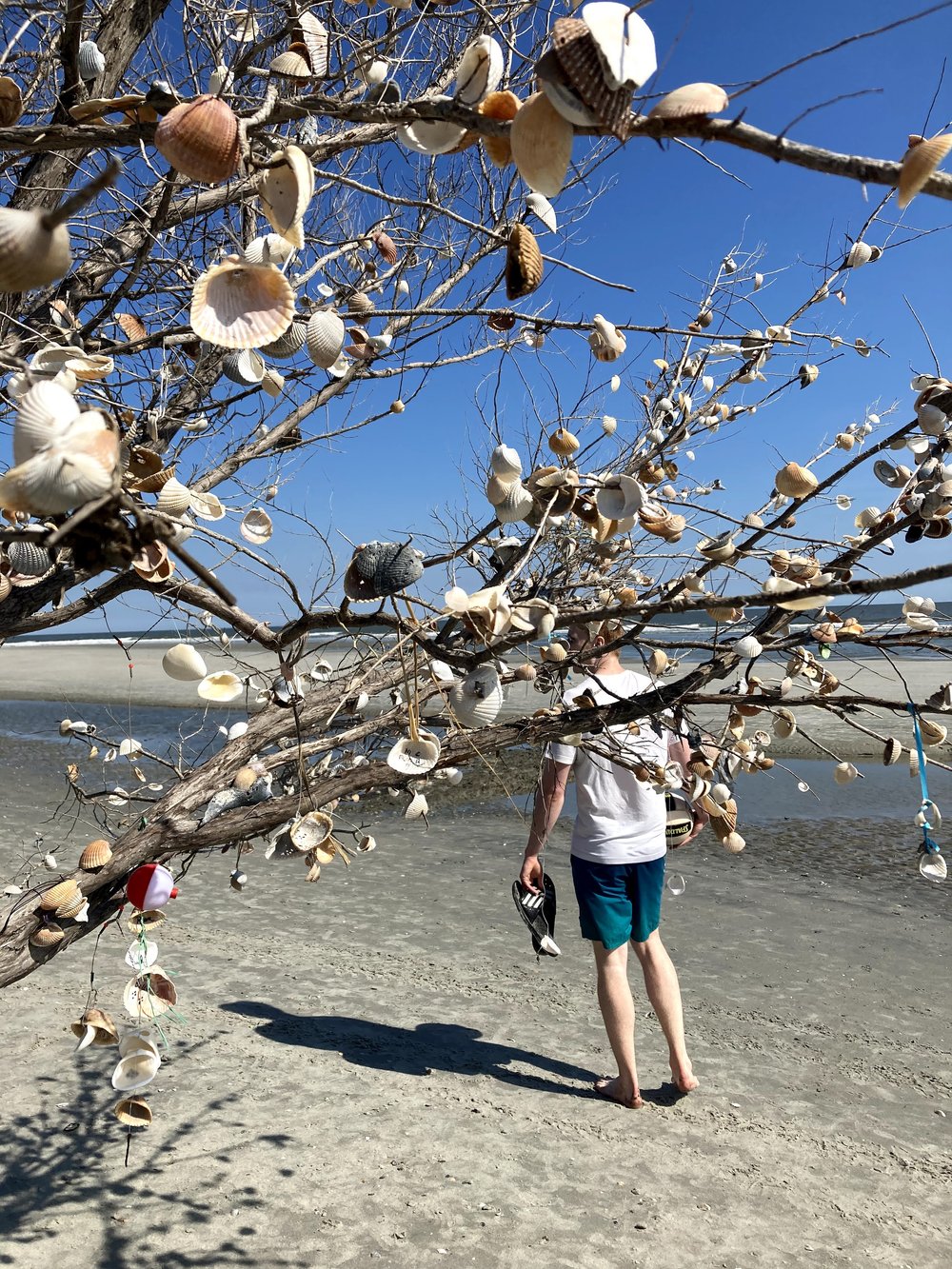 Wishing Tree, Folly Beach