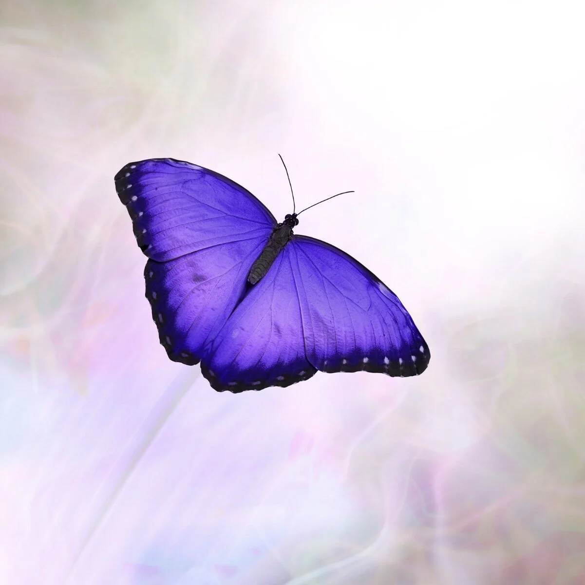 Let Go & Heal