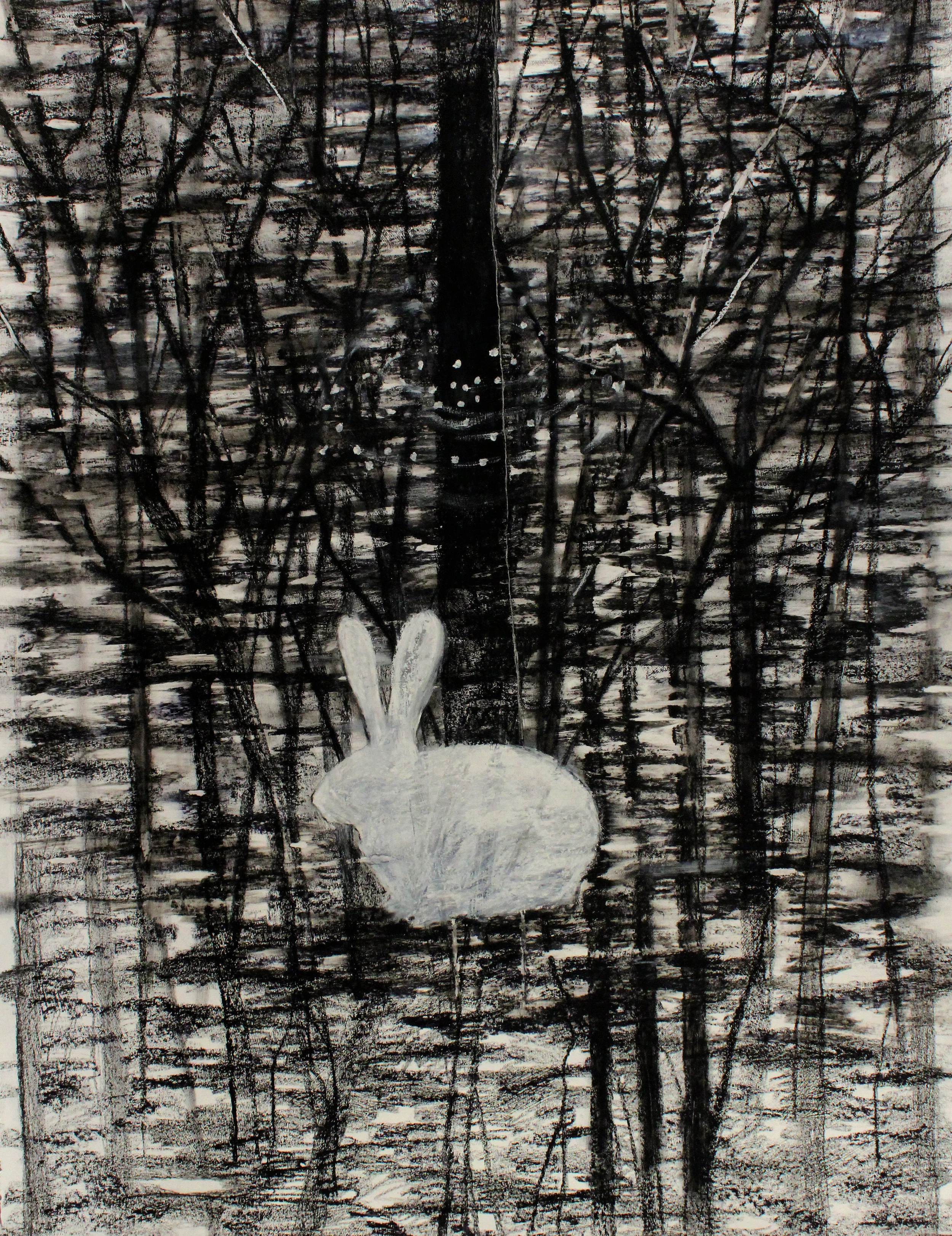 White Rabbit, 2014 