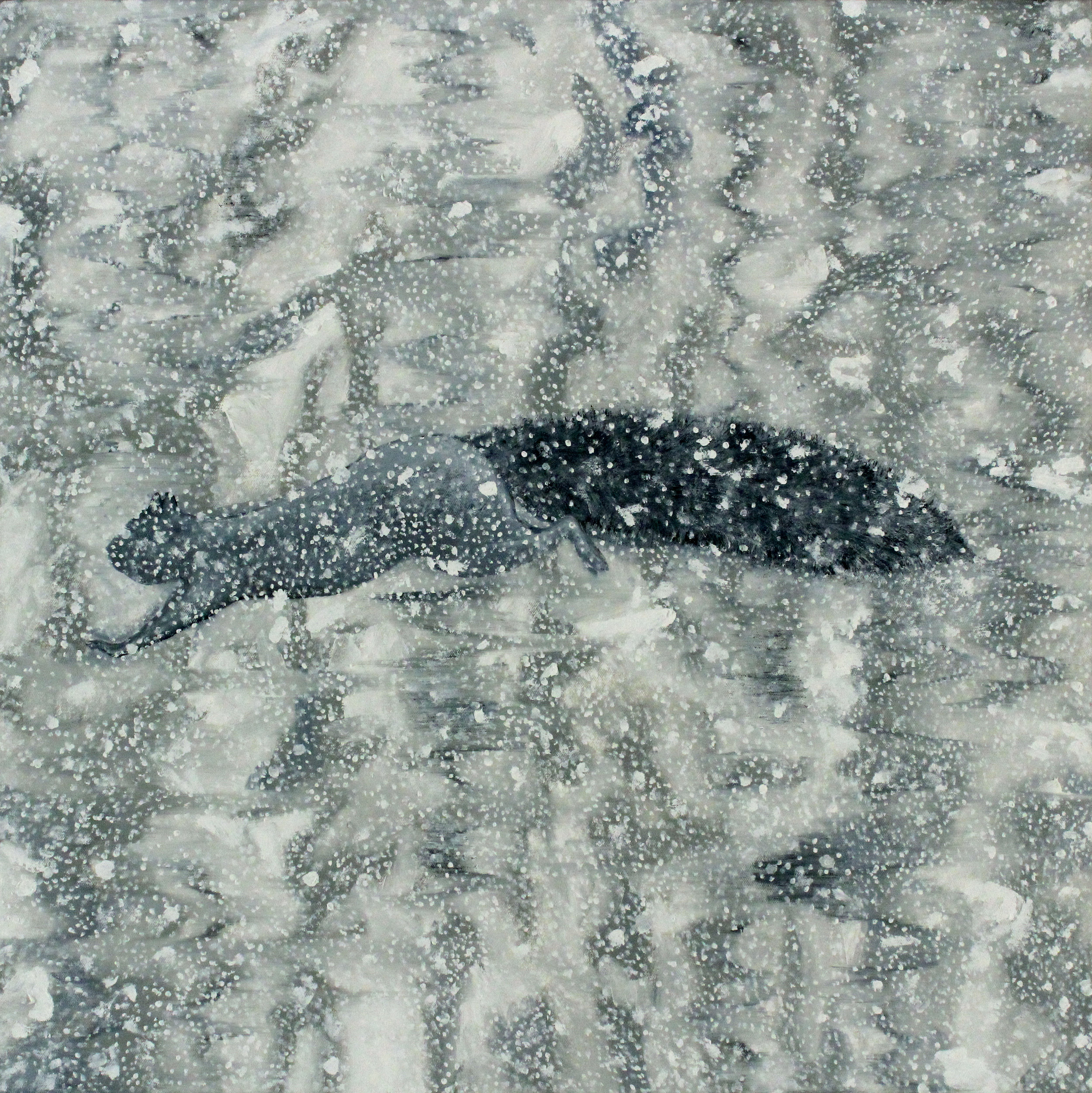 Squirrel Sequence 4, 2013