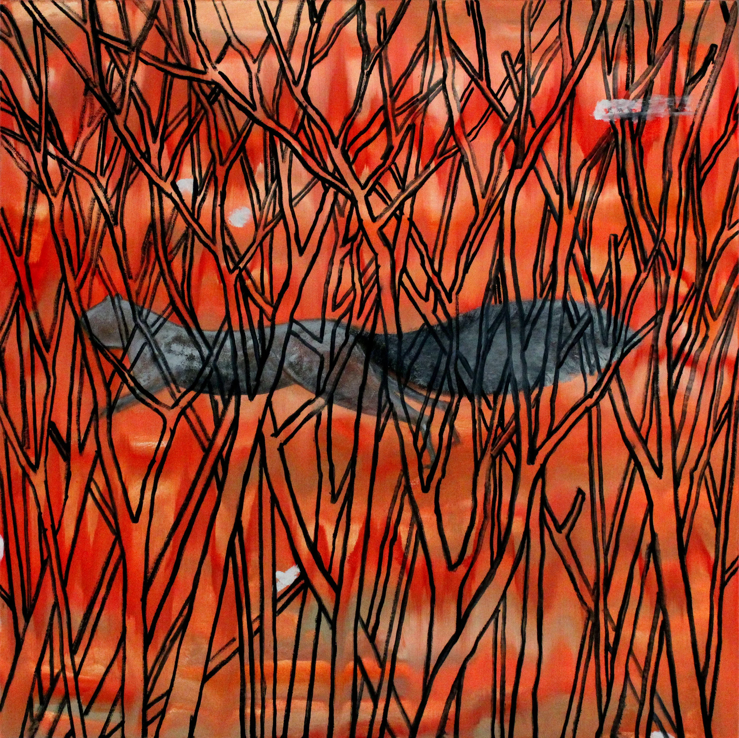 Squirrel Sequence 5, 2013