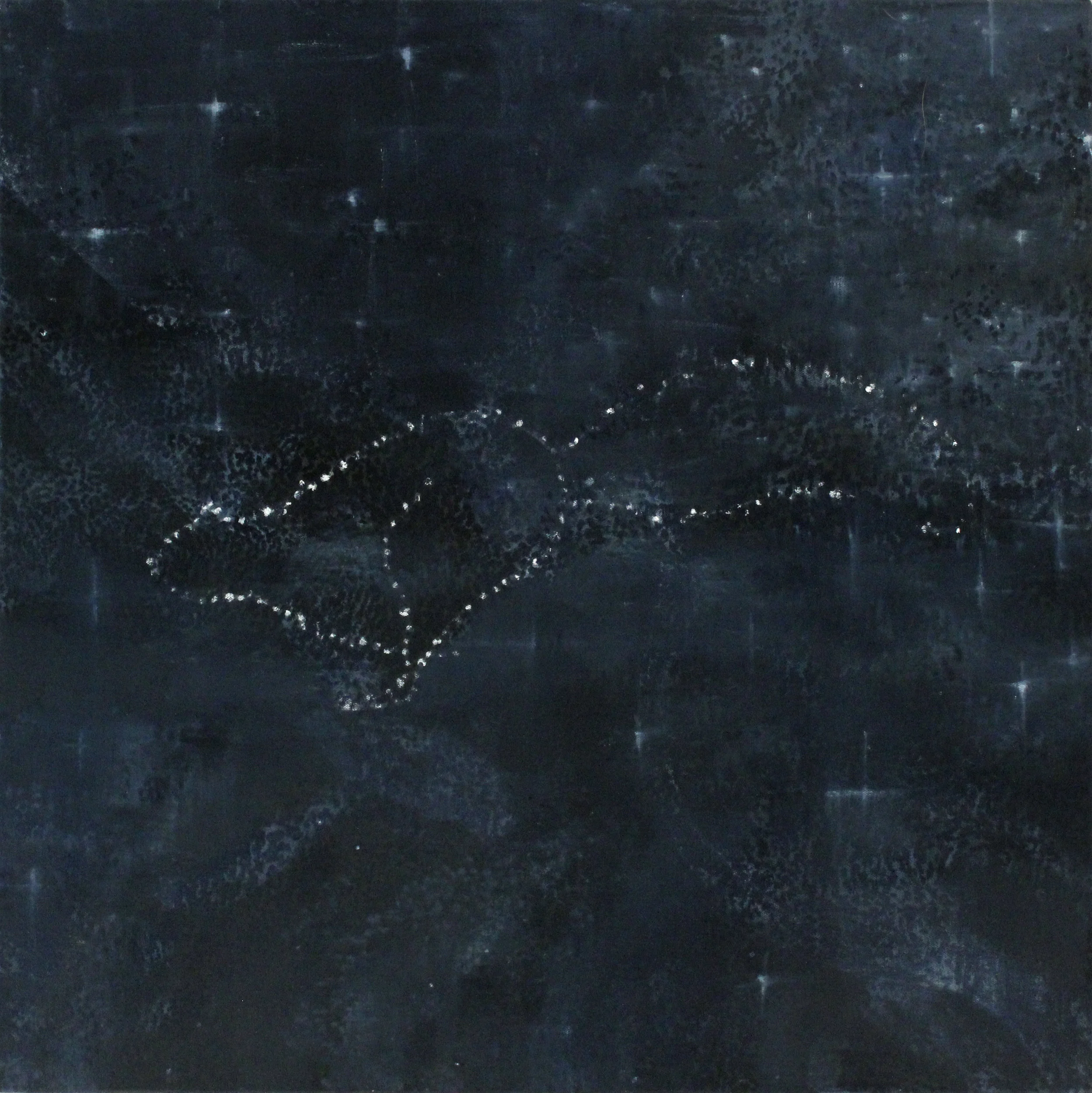 Squirrel Sequence 3, 2013