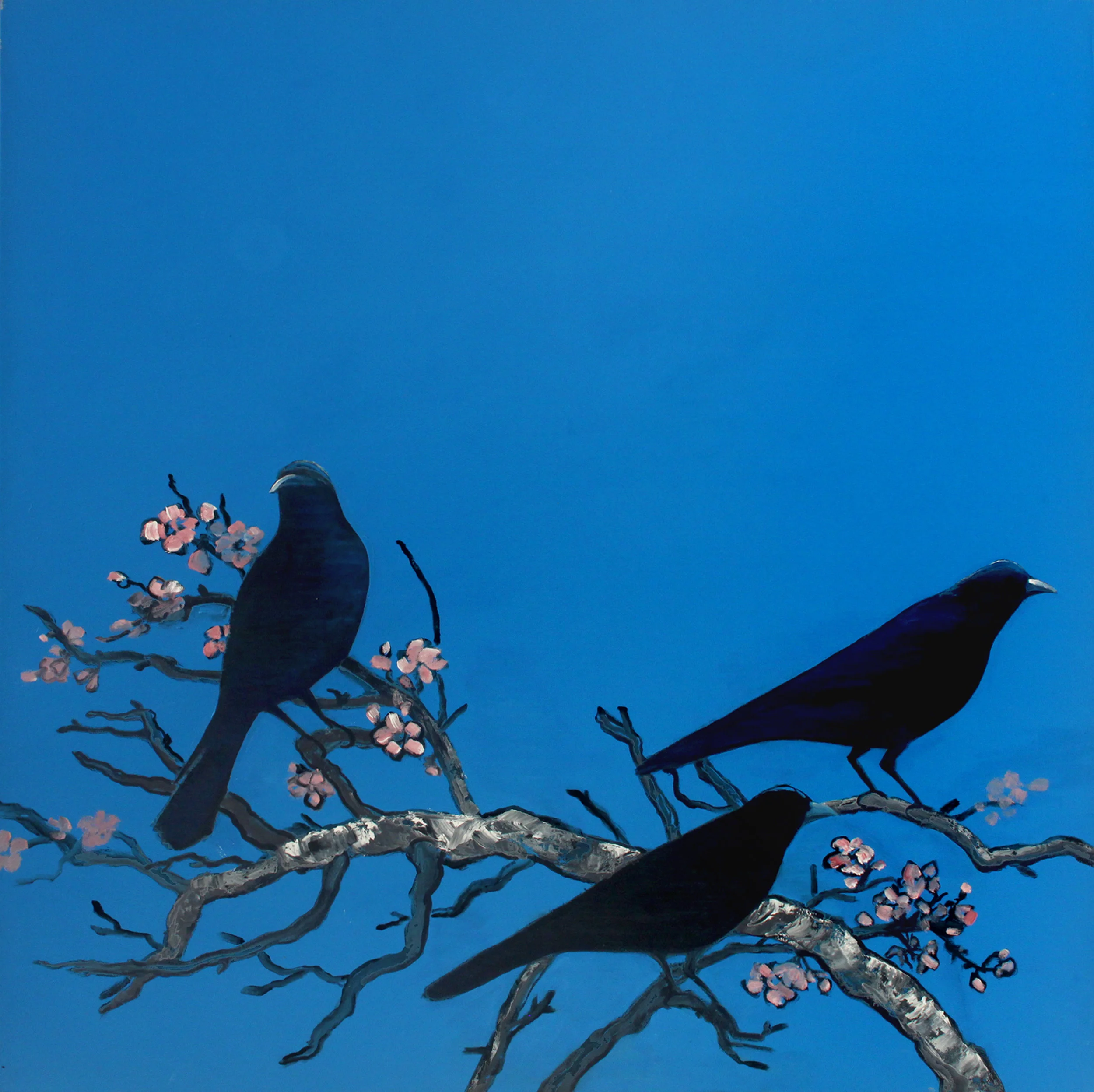 Ravens, 2012