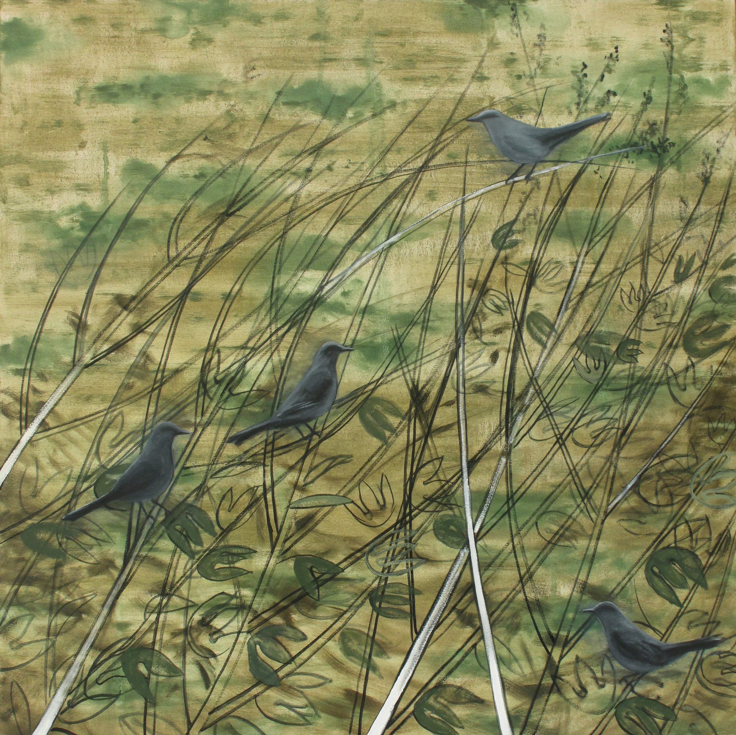 Catbirds, 2012