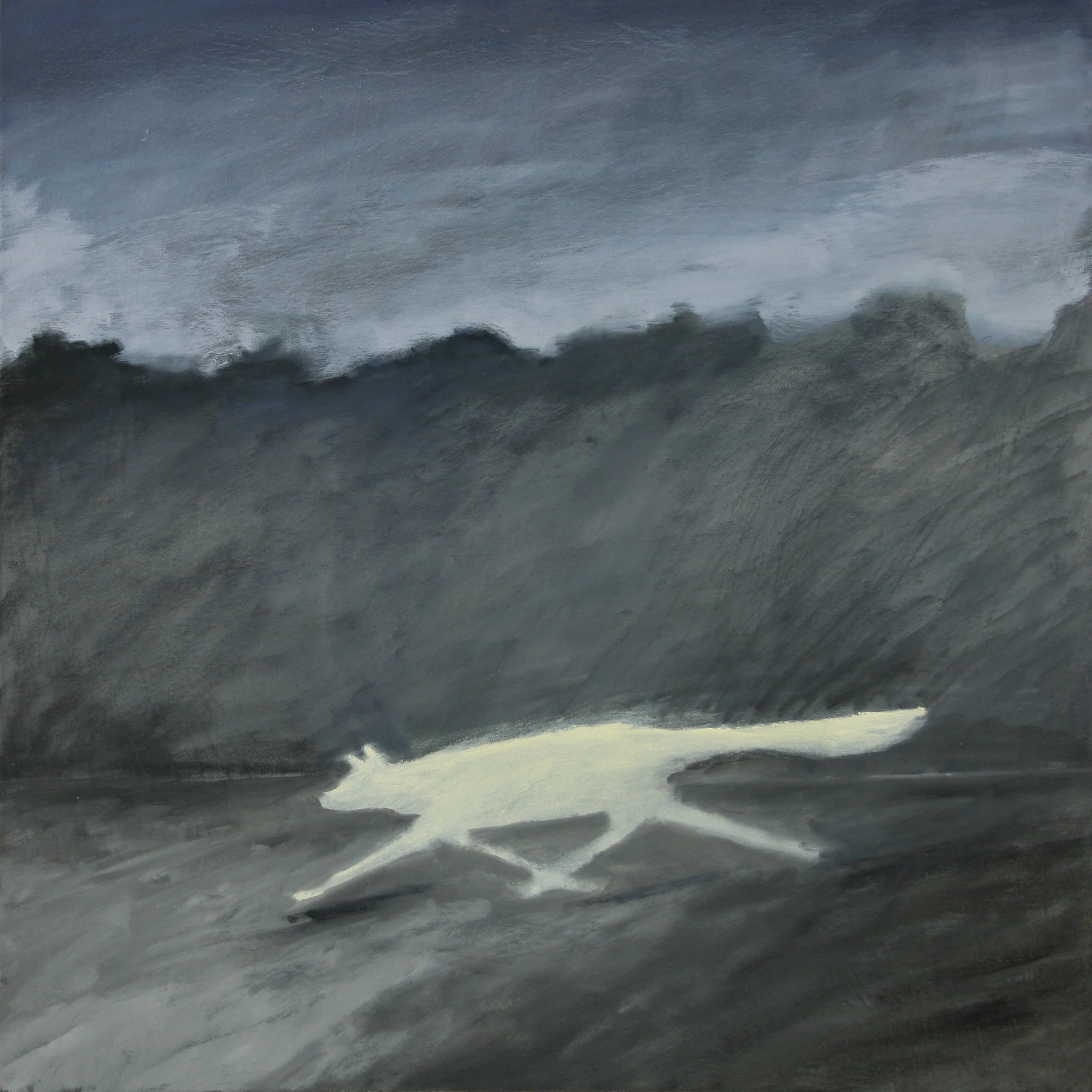 Lupine Fast Dash Twilight, 24"x24", oil on canvas (sold)