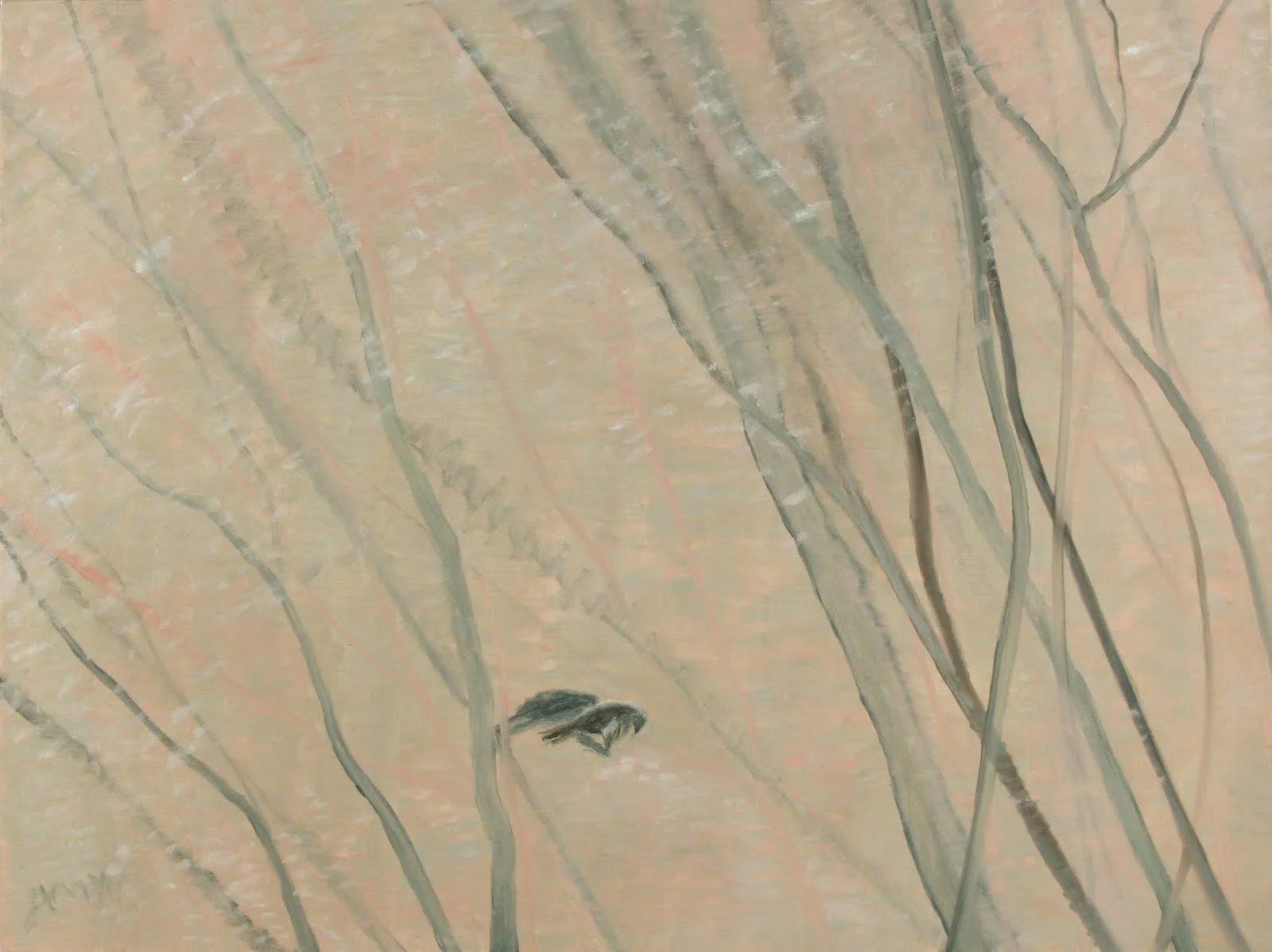 untitled (pink hawk), 30"x40", oil on canvas (sold)