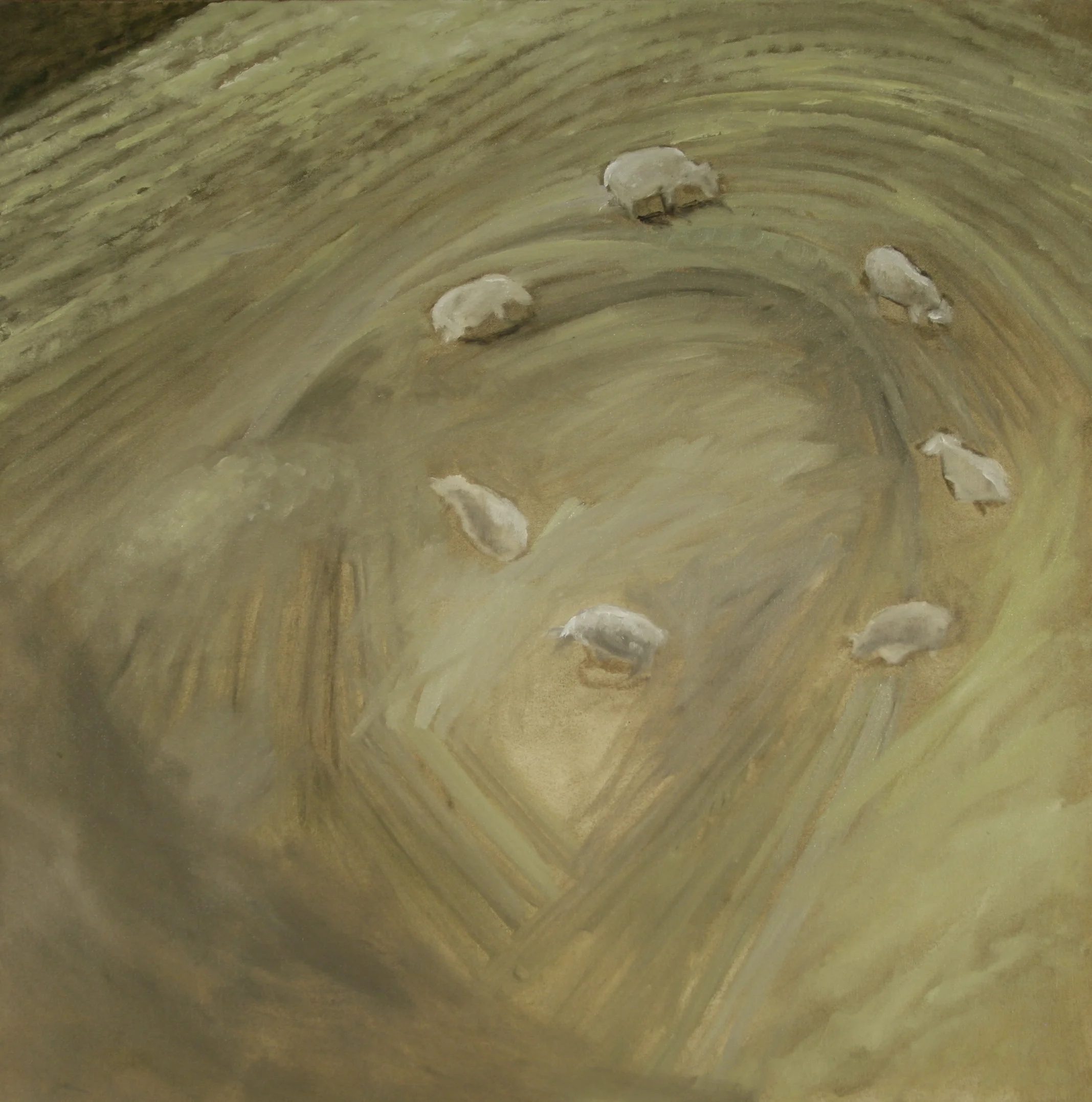 Sheep in a Circle, 2010