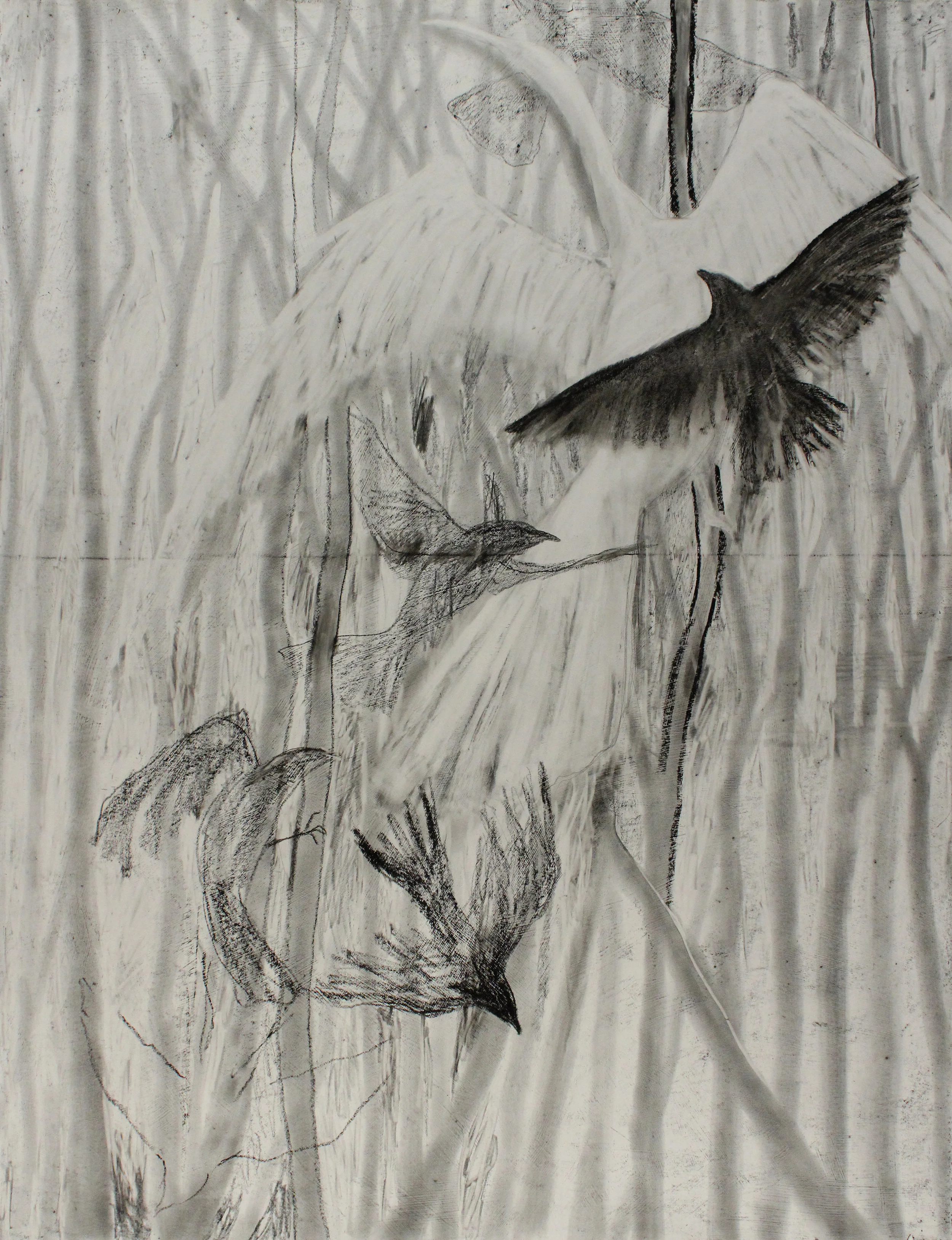 Paper Birds, 2014 