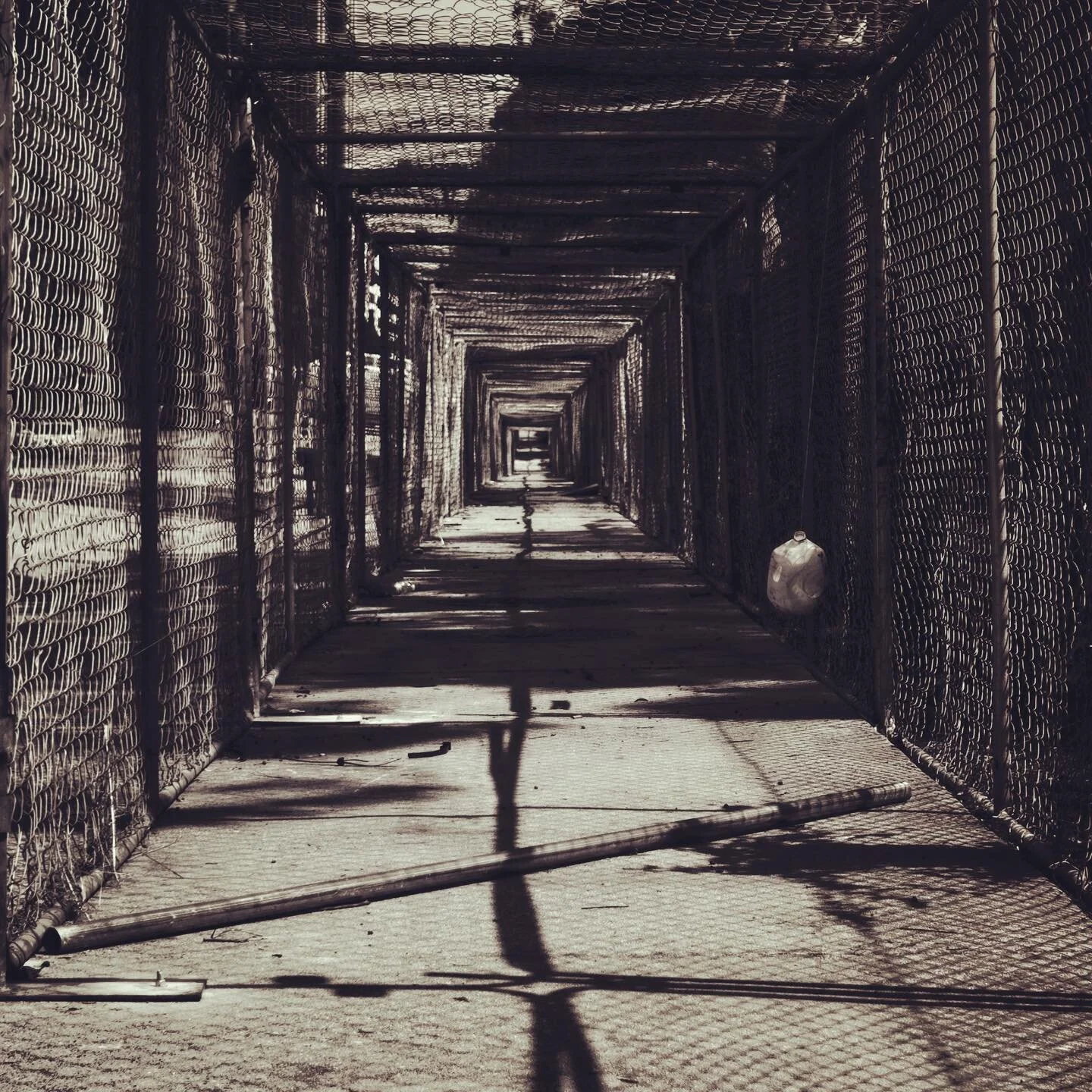 Sidewalk Fence Cage
Pentax K-5IIs smc 24 f2.8
#dtla #bnwphotography #pentax #gpwstudio #blackandwhitephotography