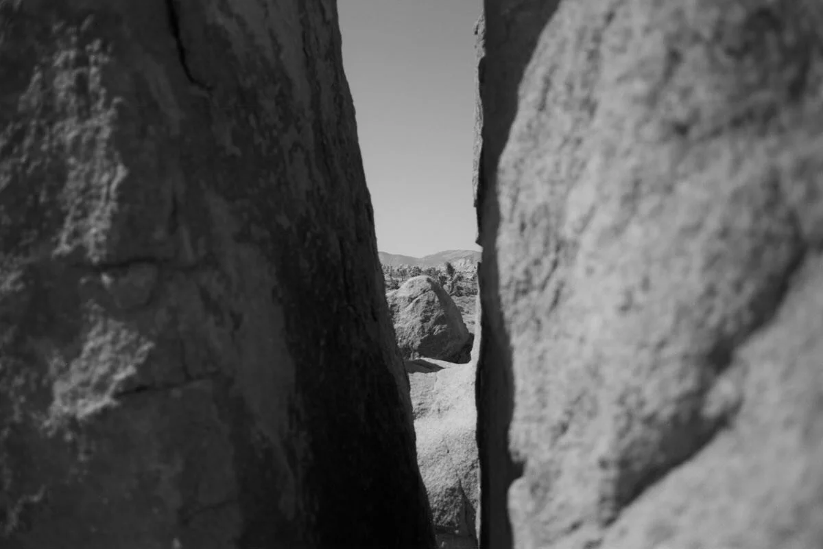 Photos from trip to Joshua Tree shot on CineStill 50 film scanned and converted to black &amp; white.

Pentax LX with smc 50 f1.2

#bnwphoto #bnwphotography #photography #filmcamera #filmphoto #cinestill50d #joshuatree #joshuatreenationalpark #pentax