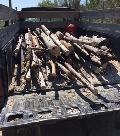 Loaded up with logs
