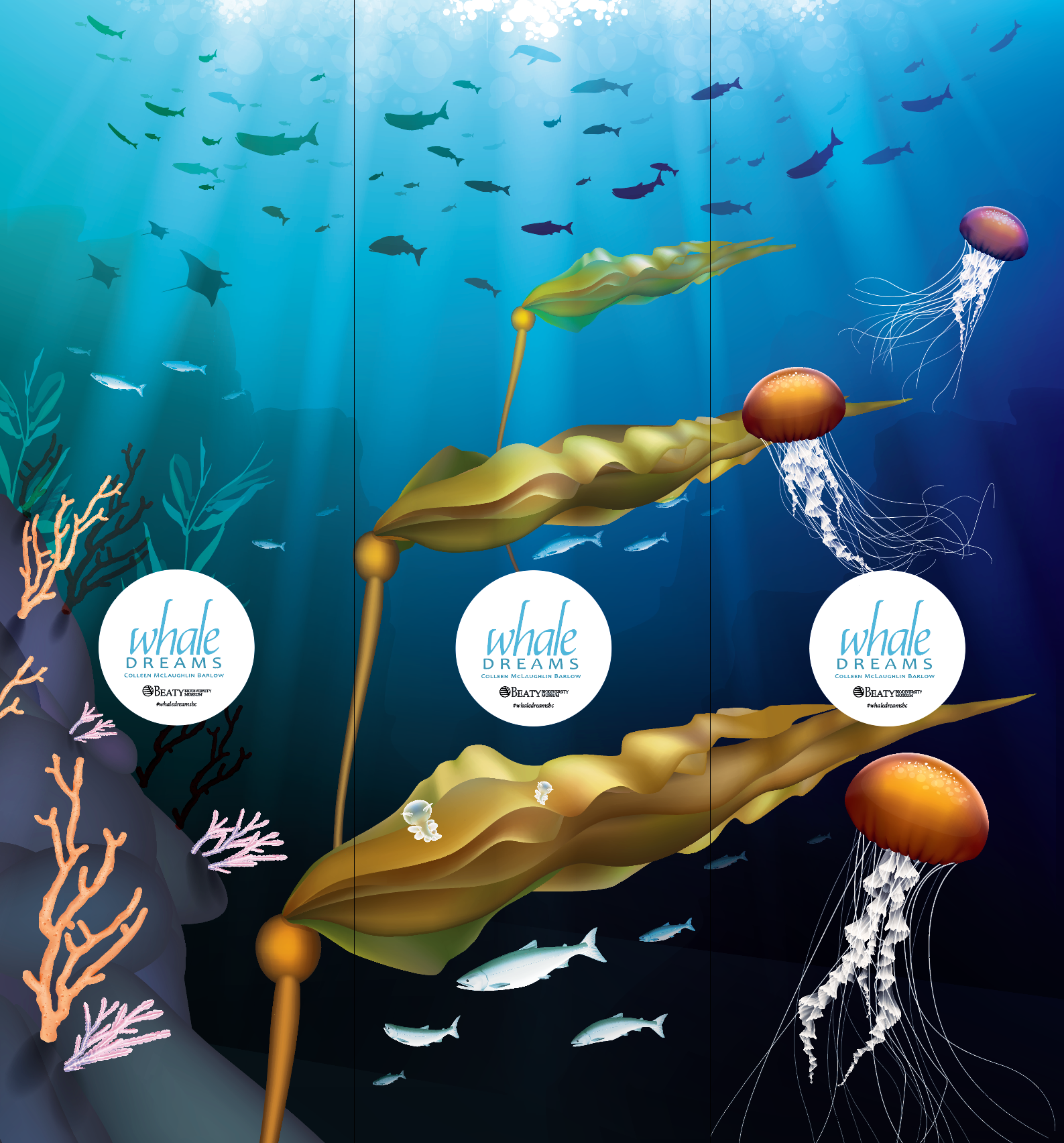 Whaledreamsportfolio.png