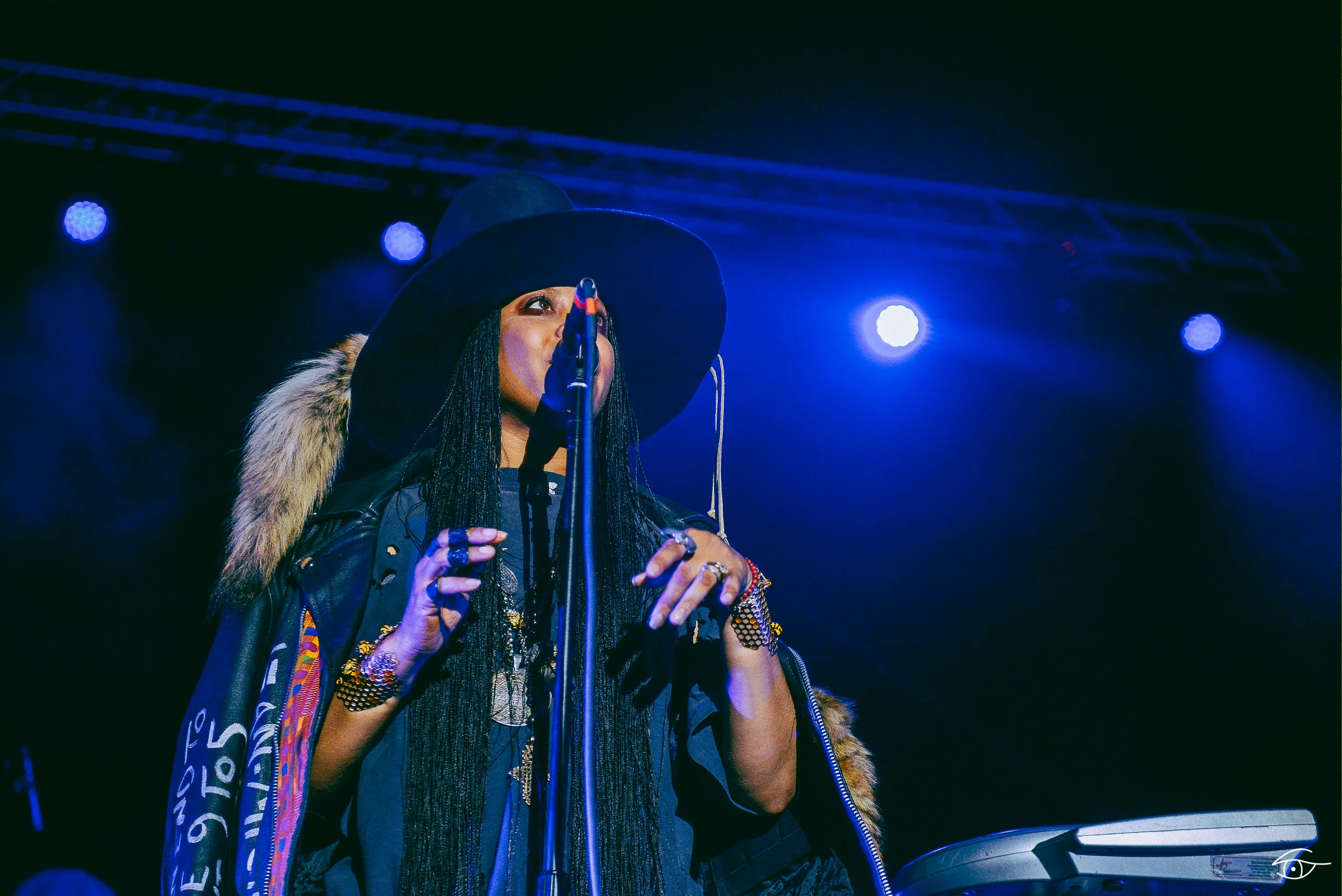 Erykah-Badu-QuirkyBrownLove-Hopscotch-22.jpg