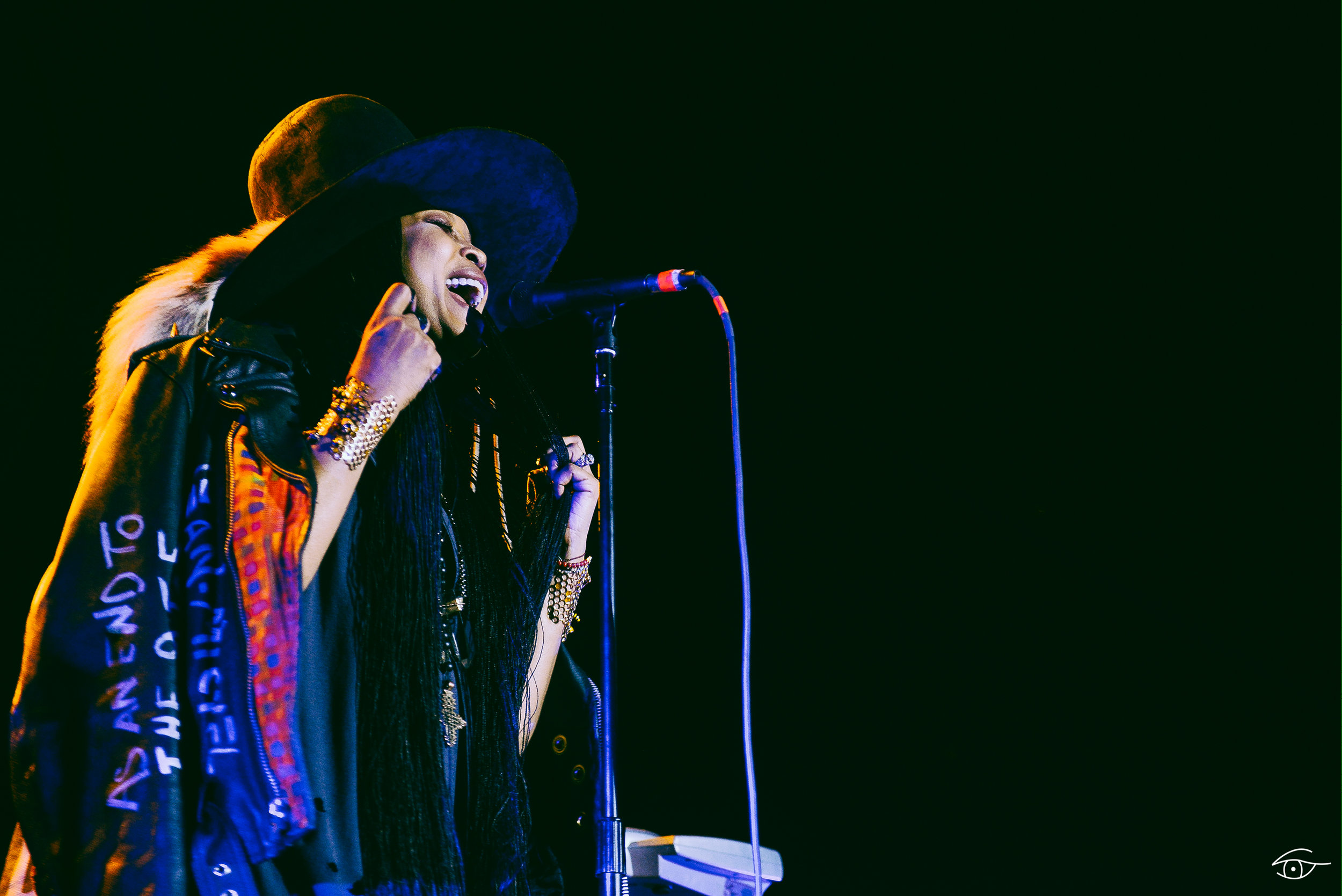 Erykah-Badu-QuirkyBrownLove-Hopscotch-27.jpg