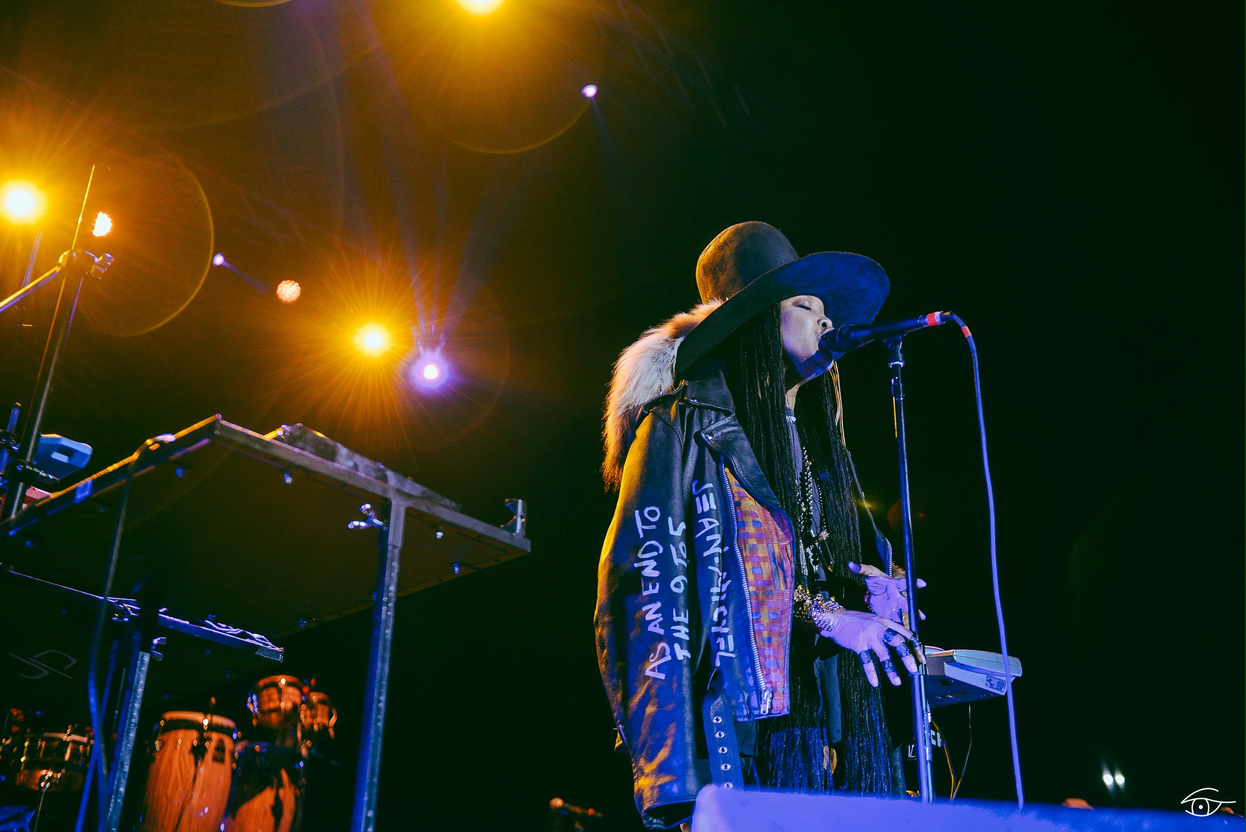 Erykah-Badu-QuirkyBrownLove-Hopscotch-29.jpg