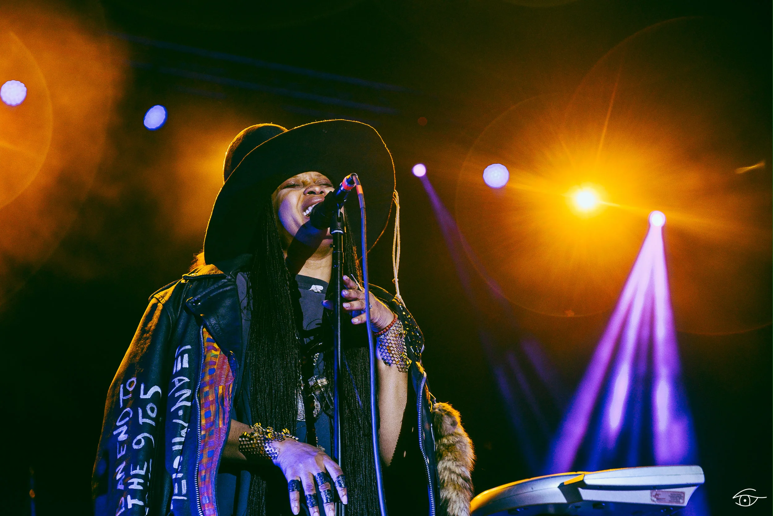 Erykah-Badu-QuirkyBrownLove-Hopscotch-26.jpg
