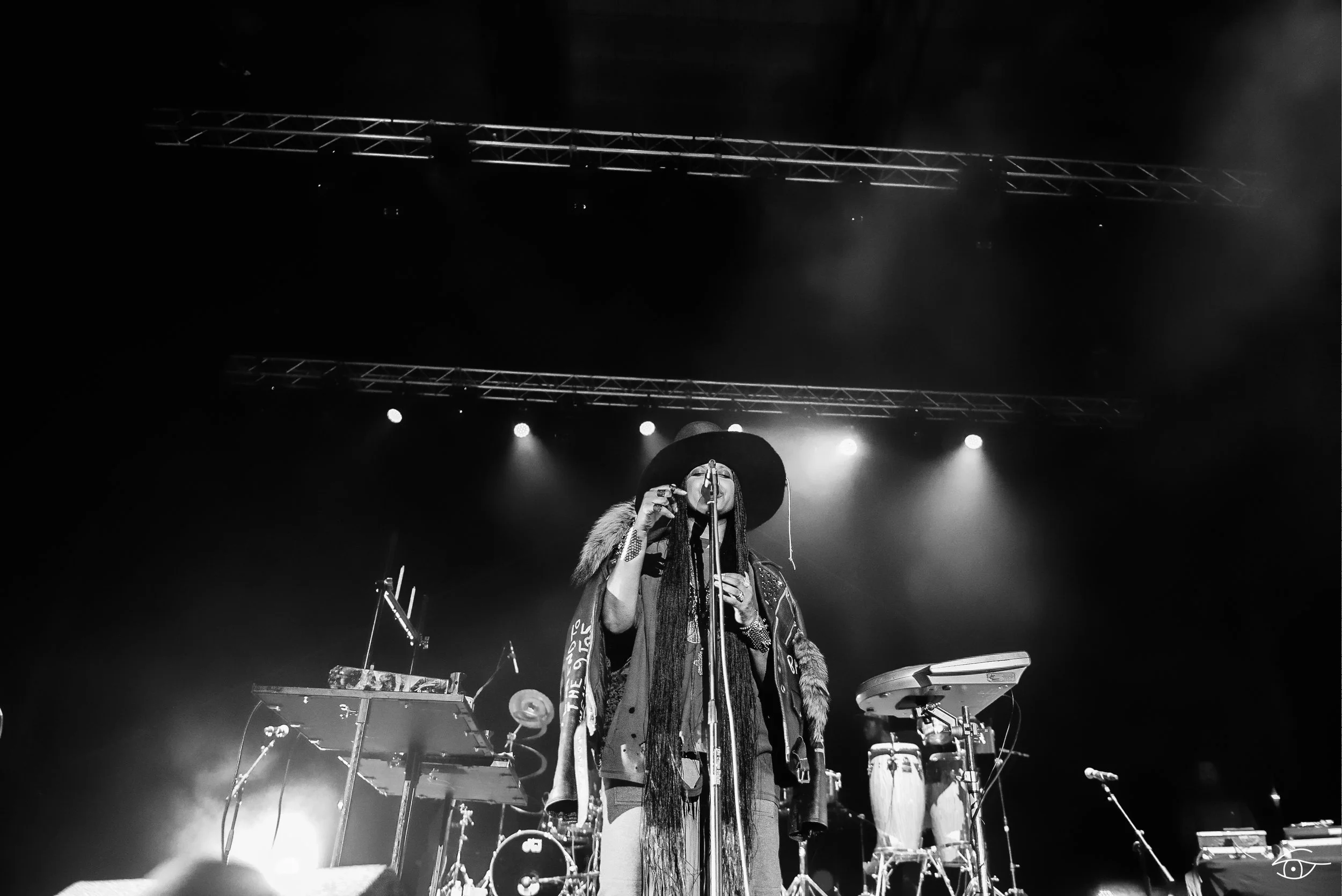 Erykah-Badu-QuirkyBrownLove-Hopscotch-21.jpg