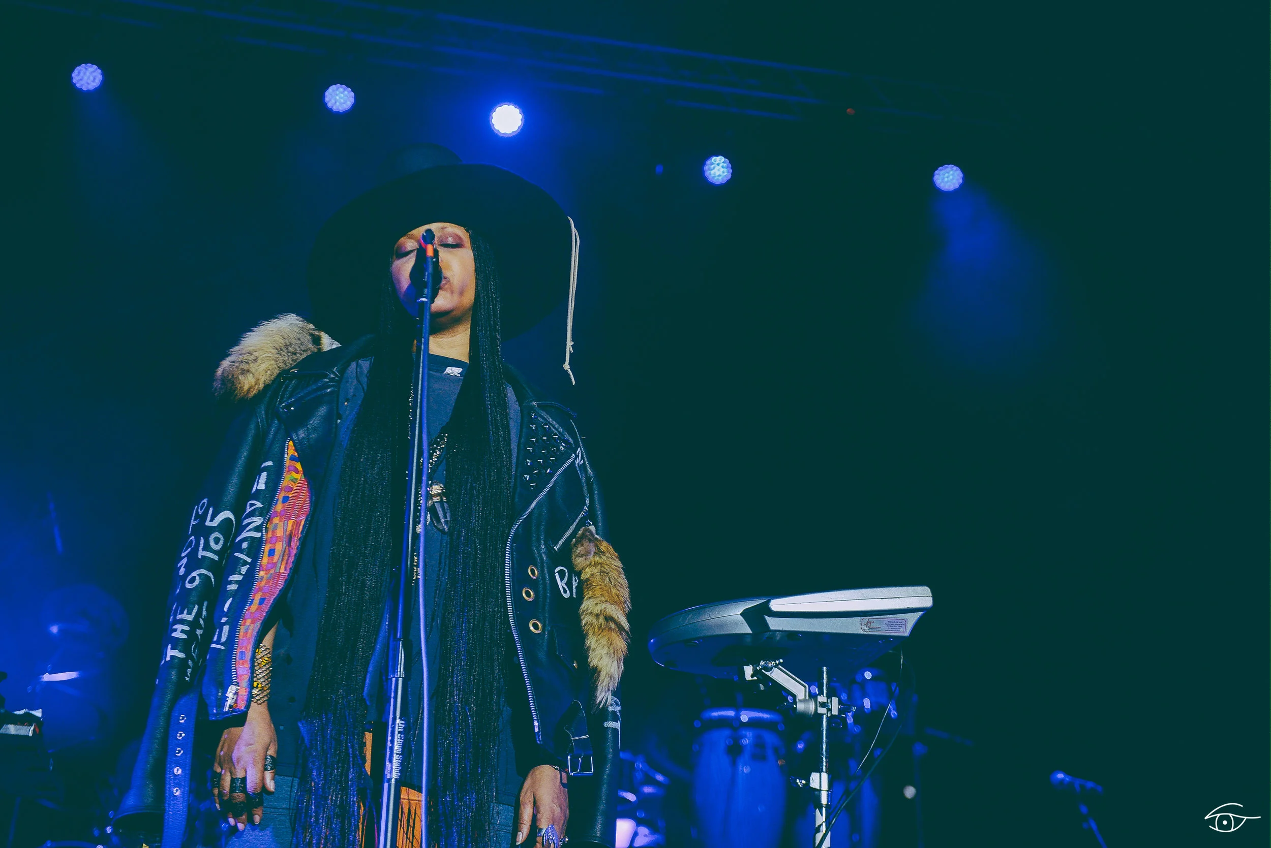 Erykah-Badu-QuirkyBrownLove-Hopscotch-19.jpg