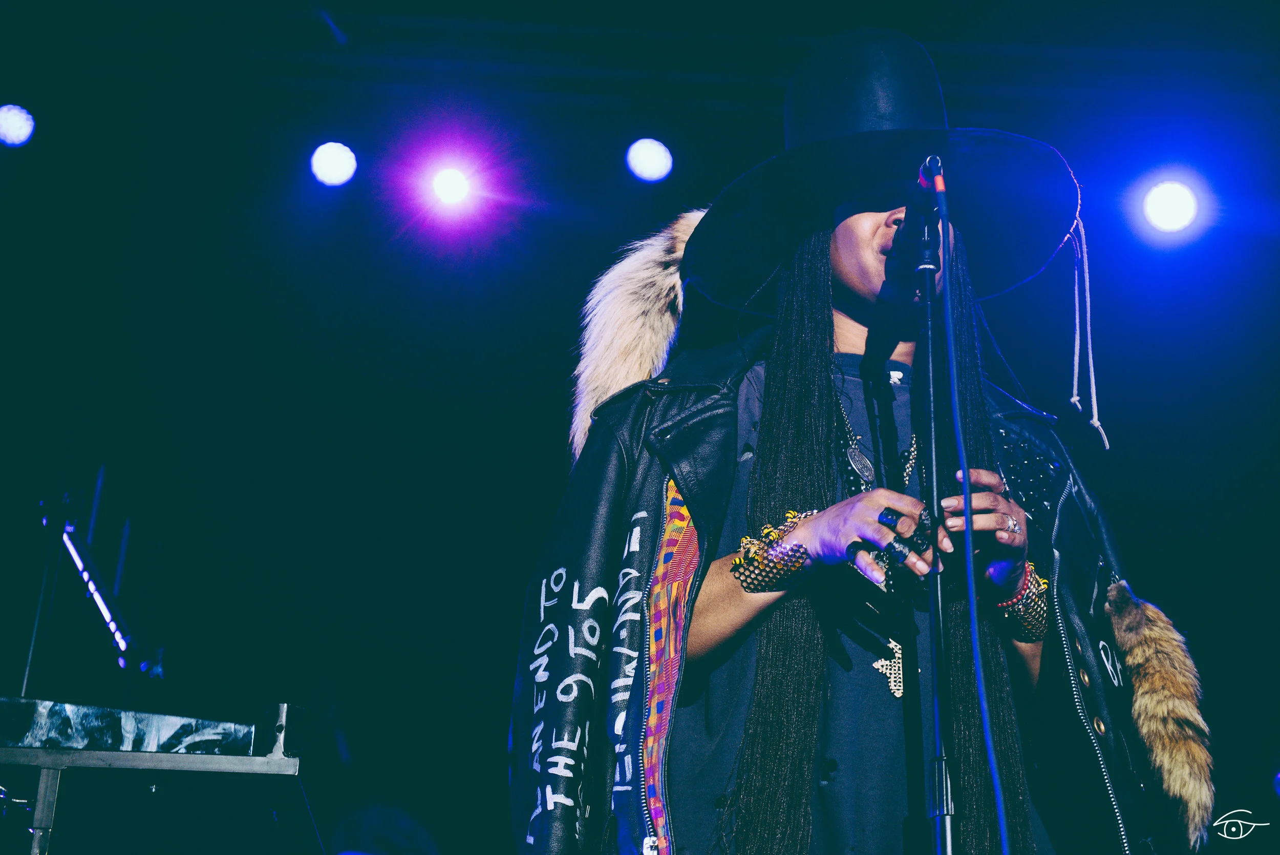 Erykah-Badu-QuirkyBrownLove-Hopscotch-16.jpg