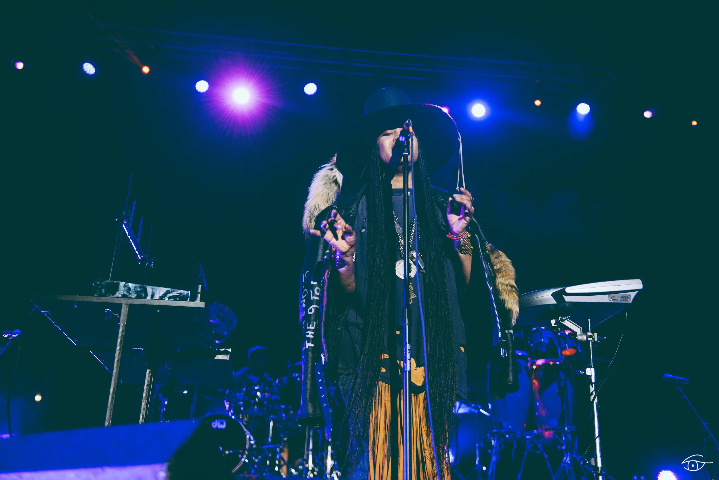 Erykah-Badu-QuirkyBrownLove-Hopscotch-15.jpg