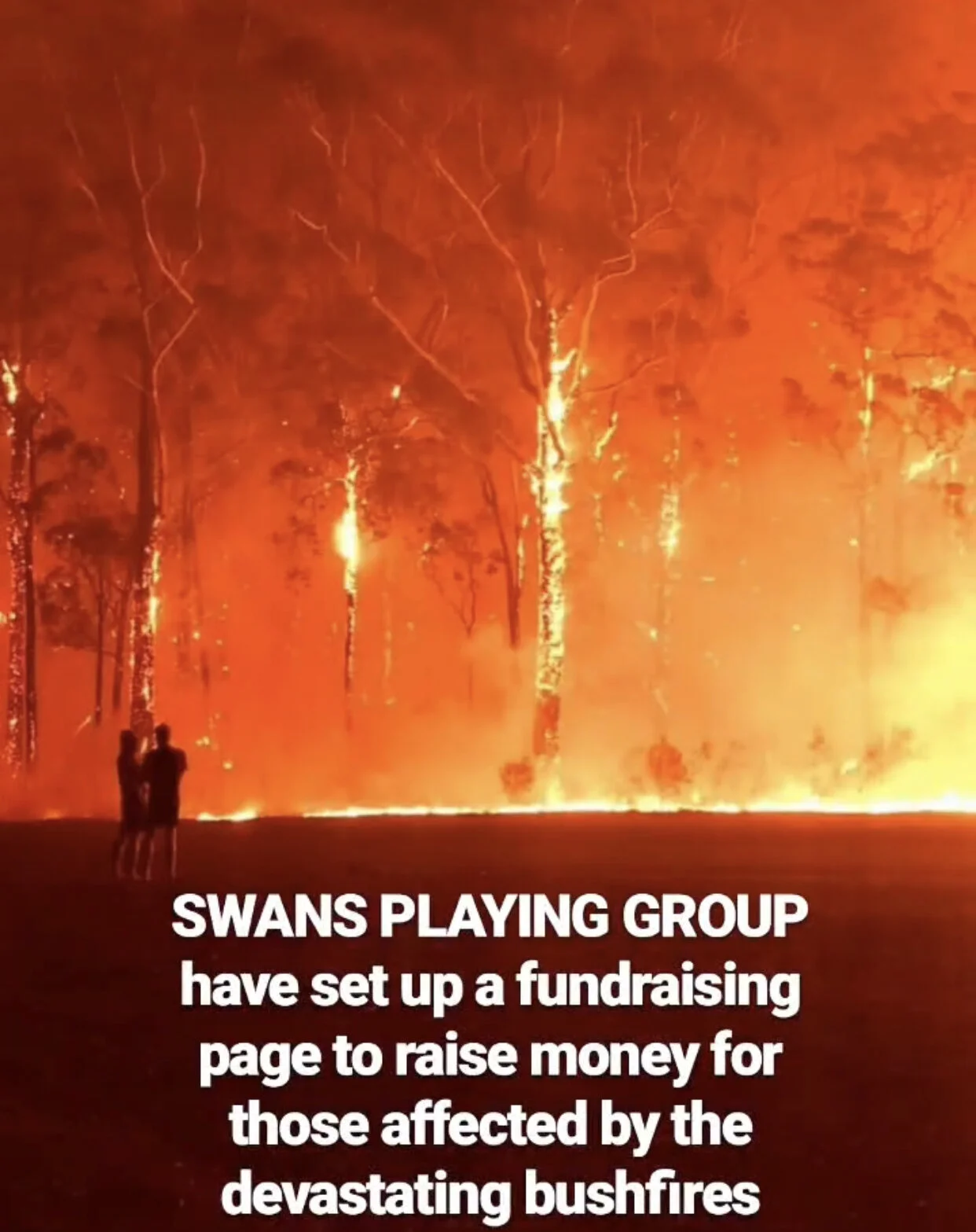 Support the Playing Group's Bushfire Appeal