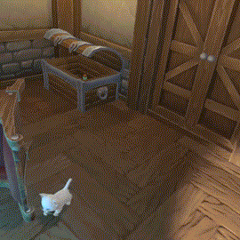 cat-chase.gif