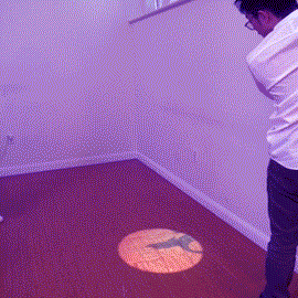 camera-cat-shadow.gif