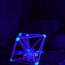 jiabao-li-transt.gif