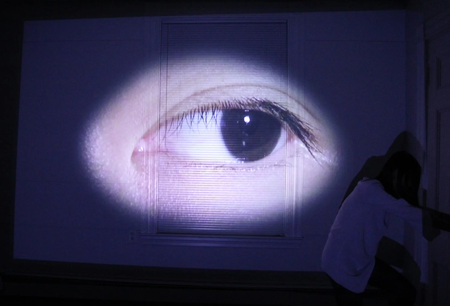 jiabao+li+eye4.jpg