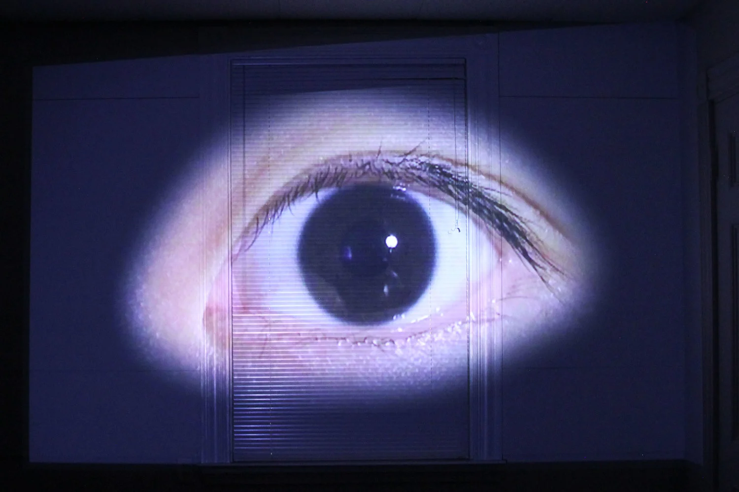 jiabao+li+eye12.jpg