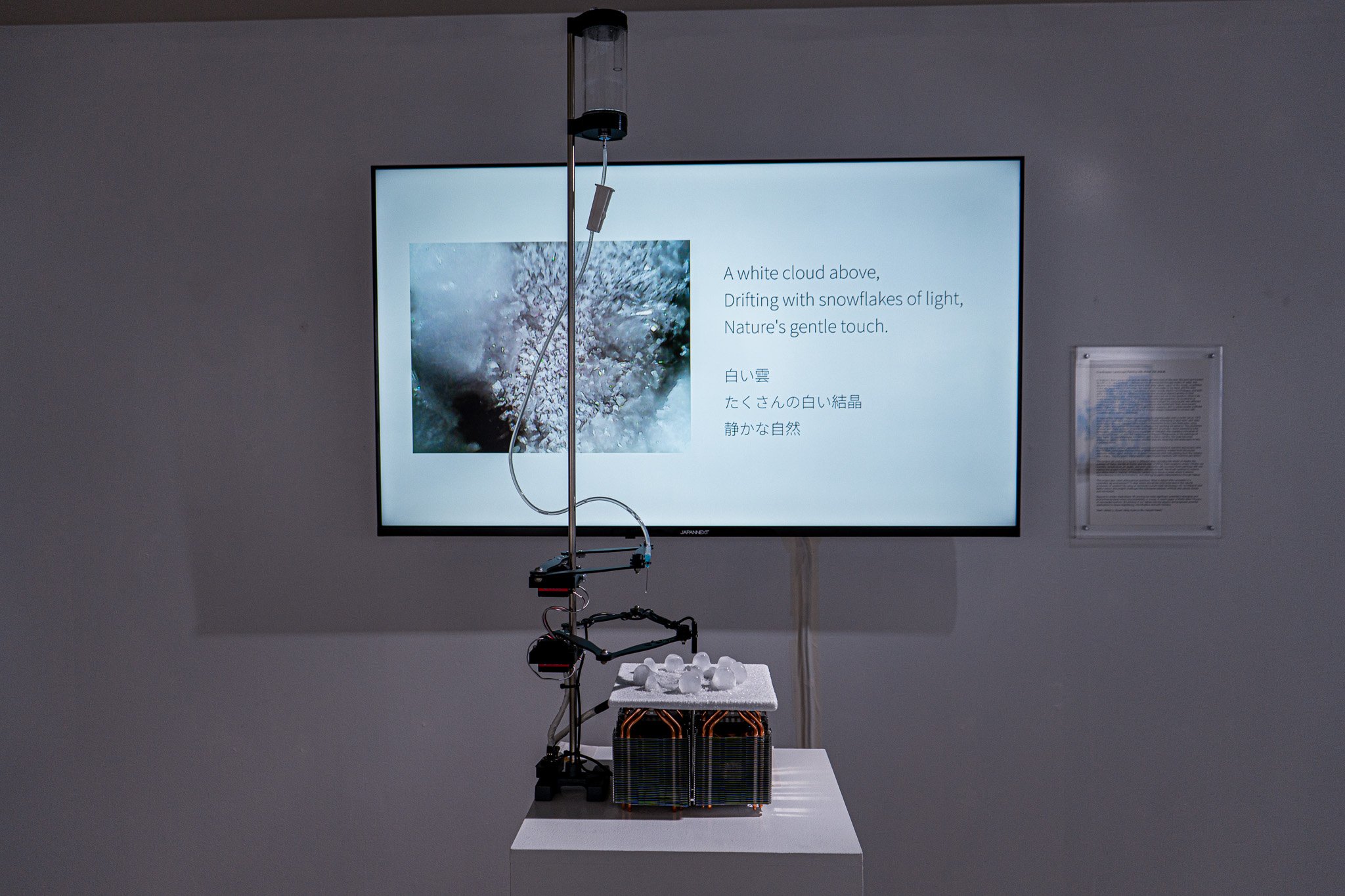 jiabao li arctic 29.jpg