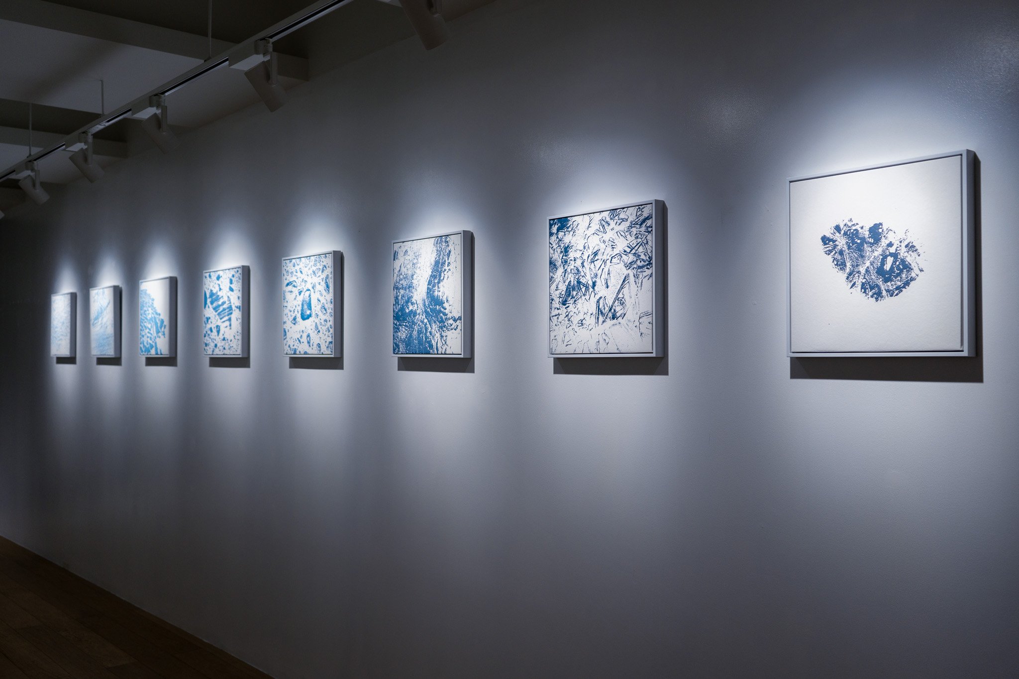 jiabao li arctic 41.jpg