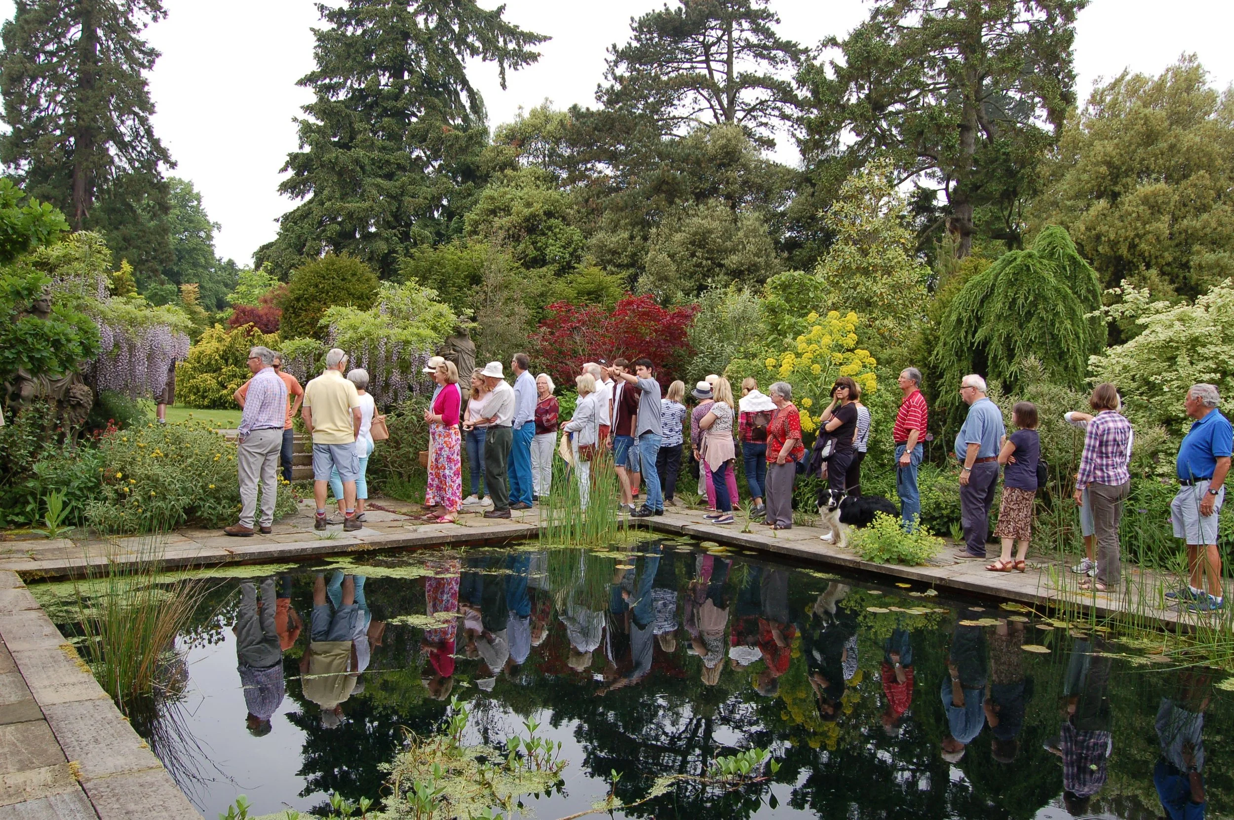 Malverleys Garden Tour