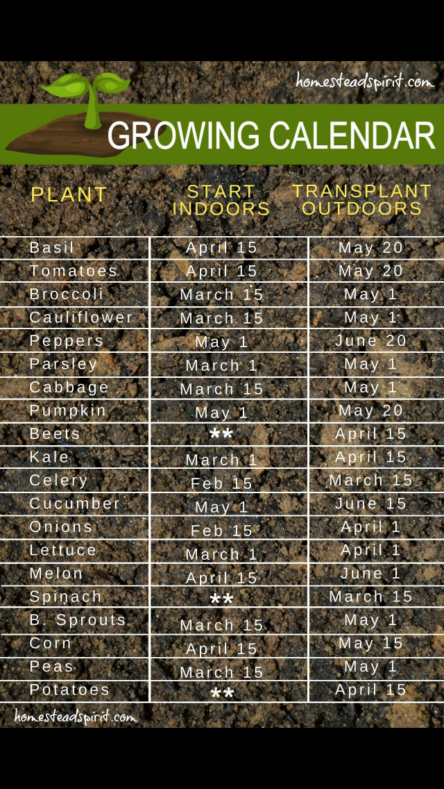 Quand commencer les graines à l'intérieur pour la date de plantation du 20 avril