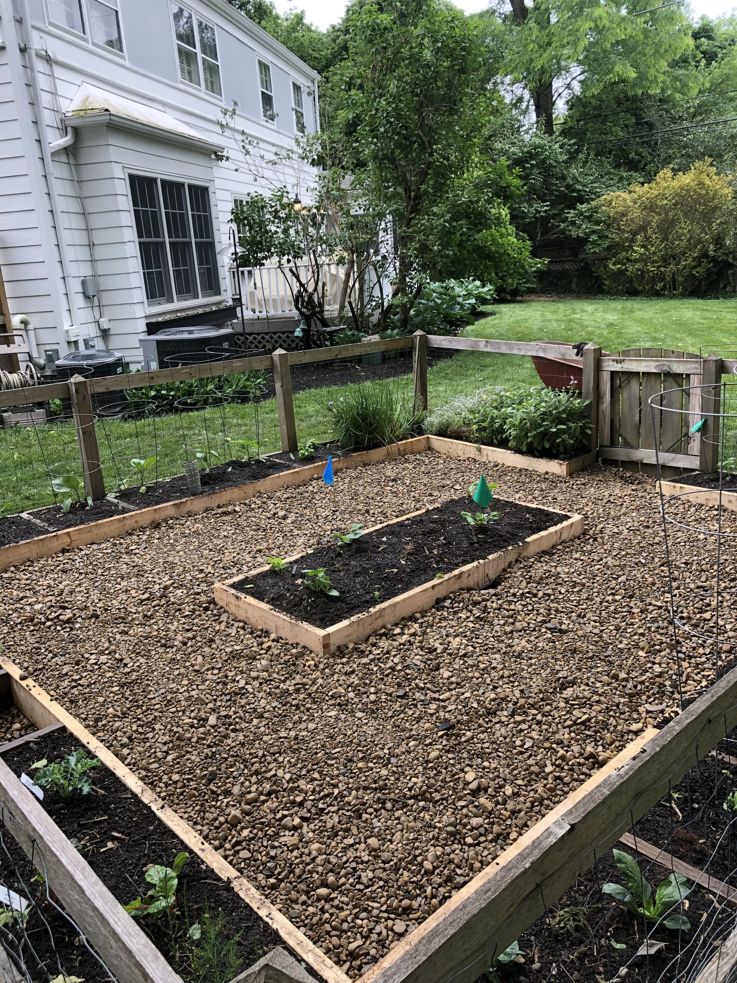 Garden 2021